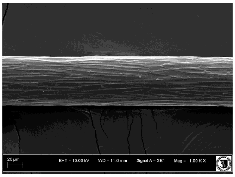 Animals 12 00971 i021