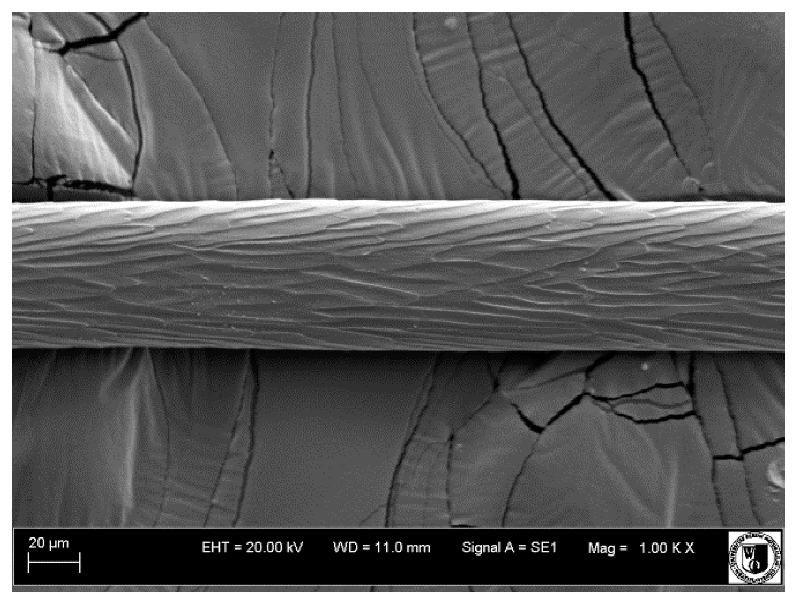 Animals 12 00971 i022