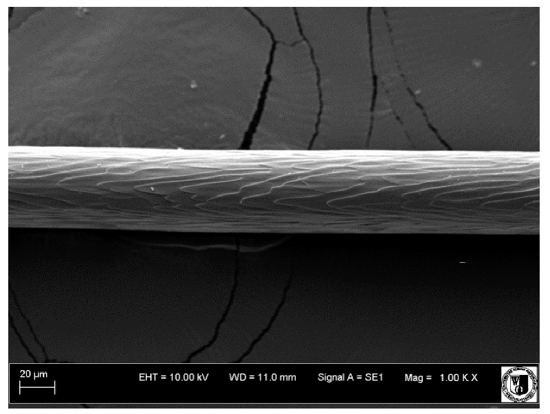 Animals 12 00971 i023