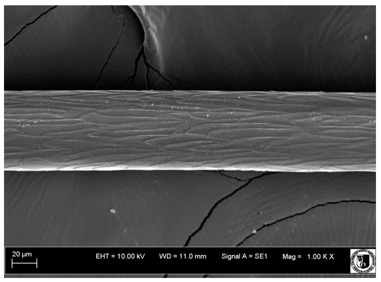 Animals 12 00971 i024