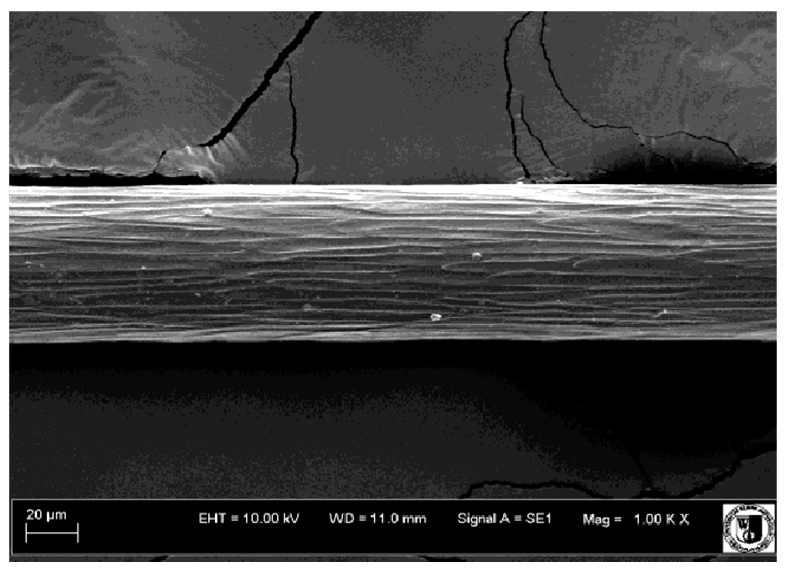 Animals 12 00971 i025