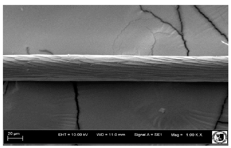 Animals 12 00971 i026