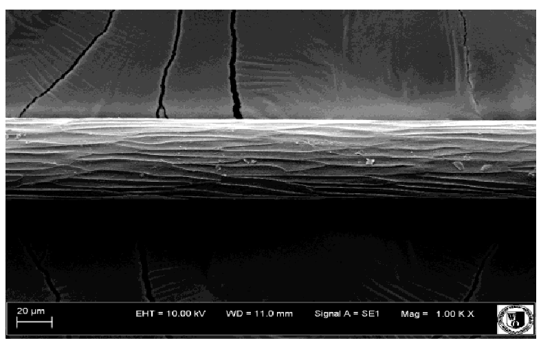 Animals 12 00971 i027