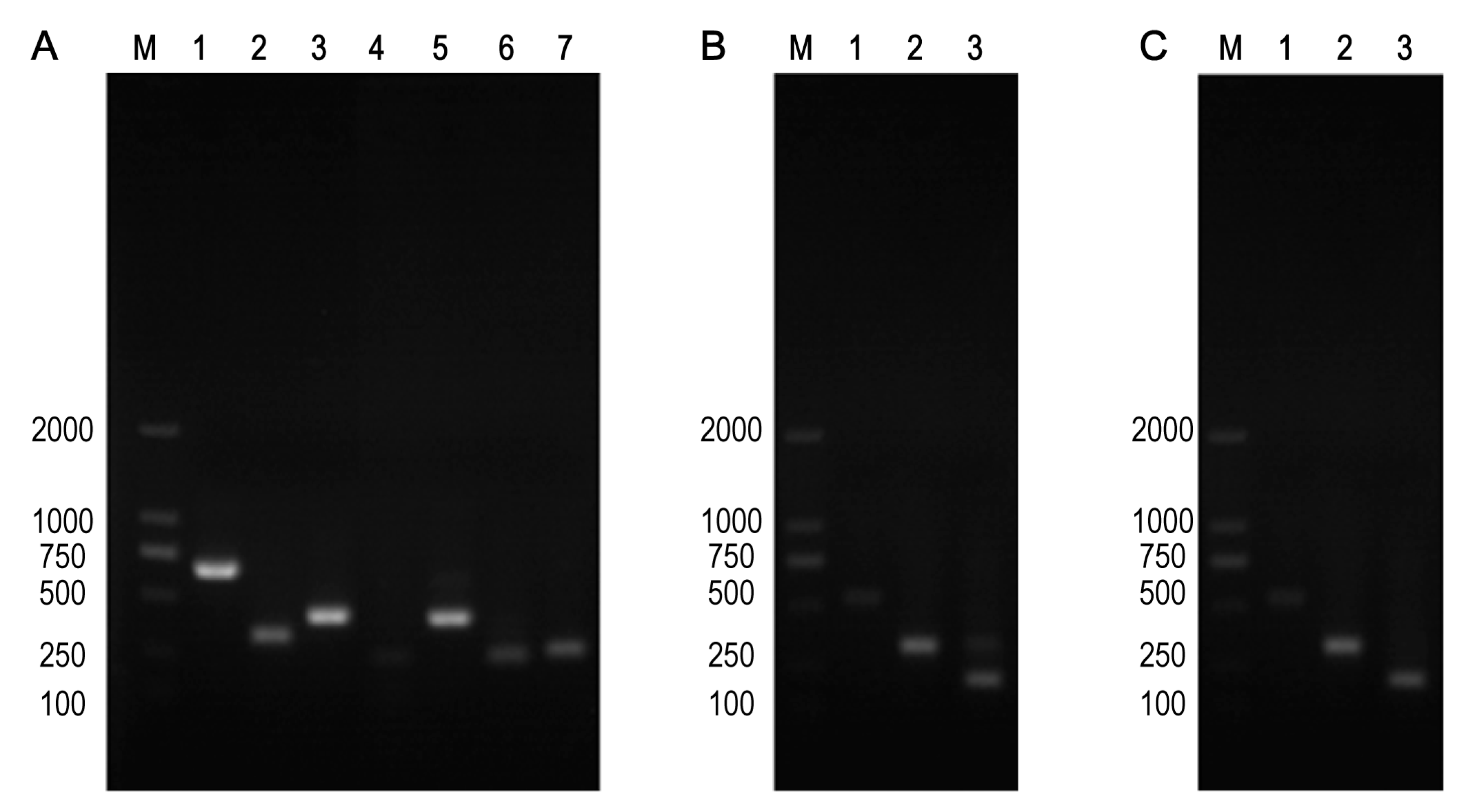 Animals 12 00976 g002 Animals 12 00976 g002