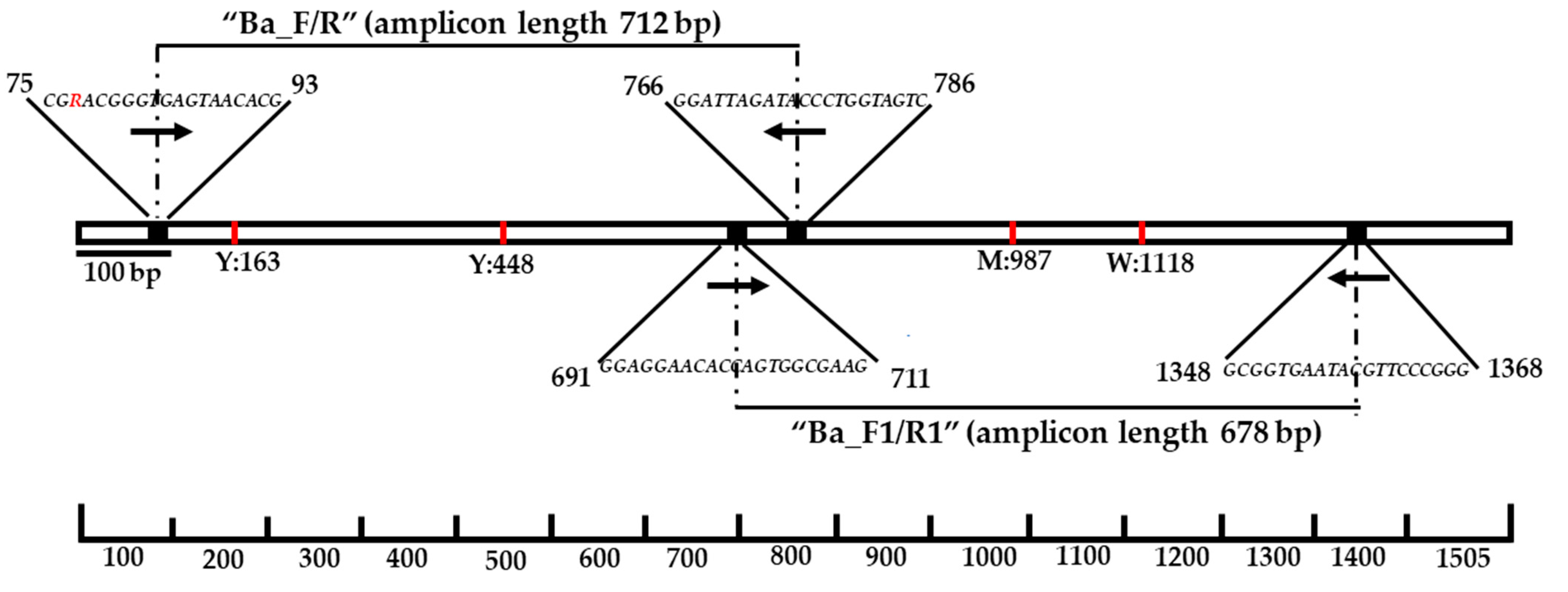 Animals 12 00979 g002 550
