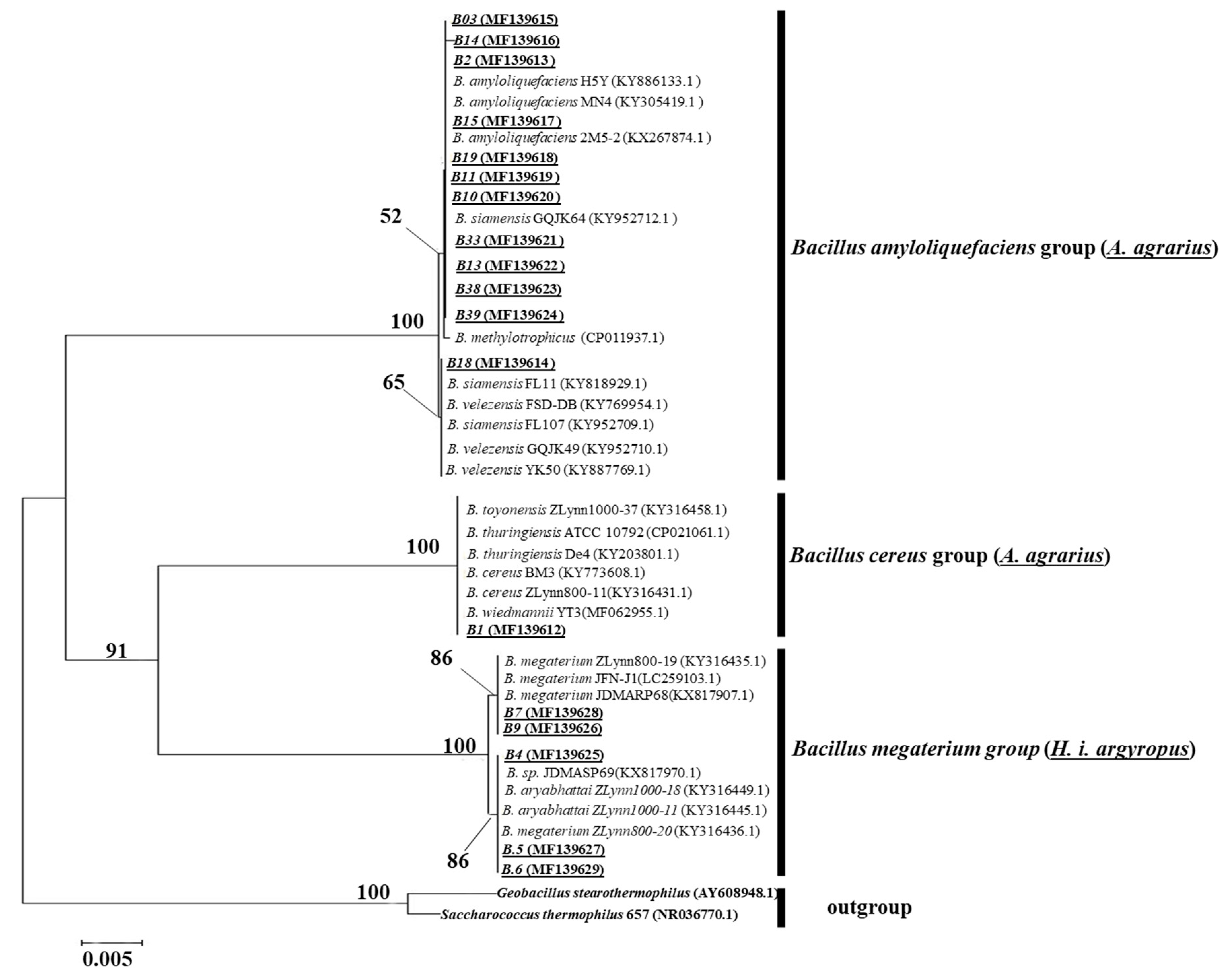 Animals 12 00979 g003 550