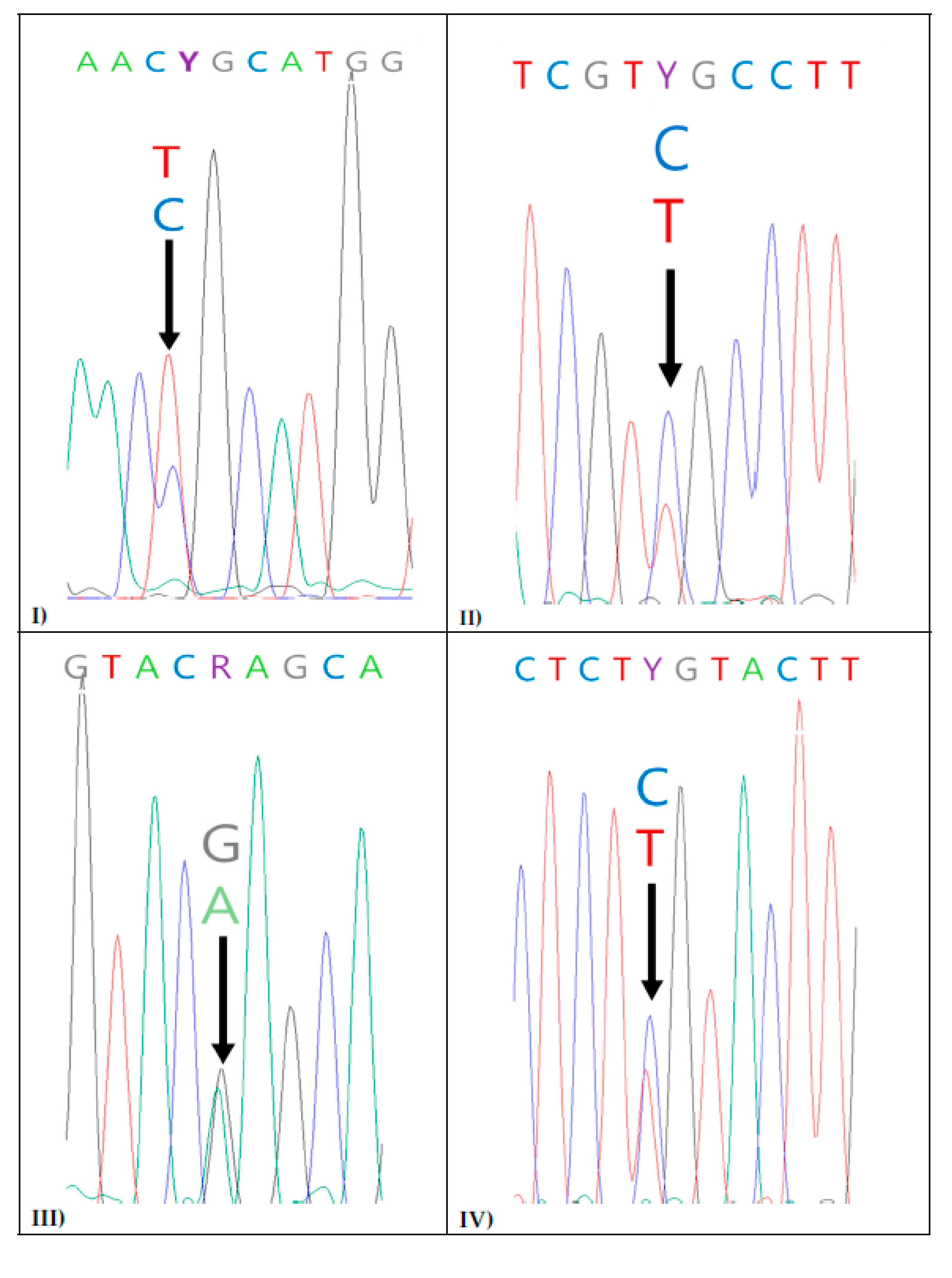 Animals 12 00979 g004 550