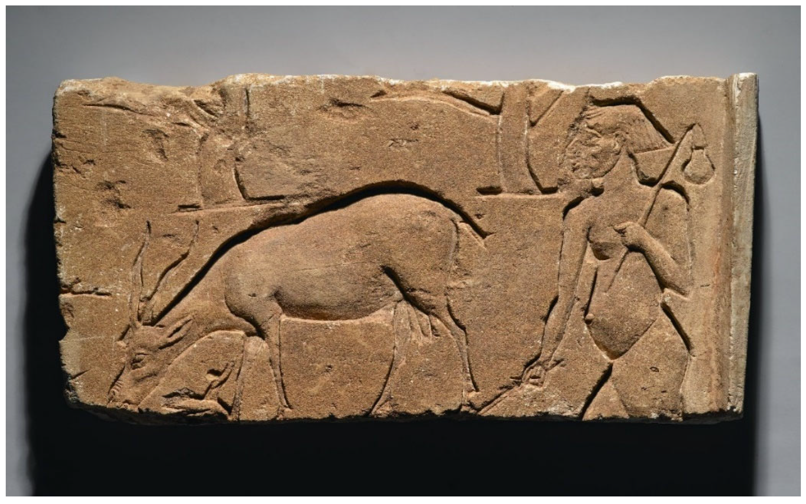 Animals 12 00988 g001 Animals 12 00988 g001