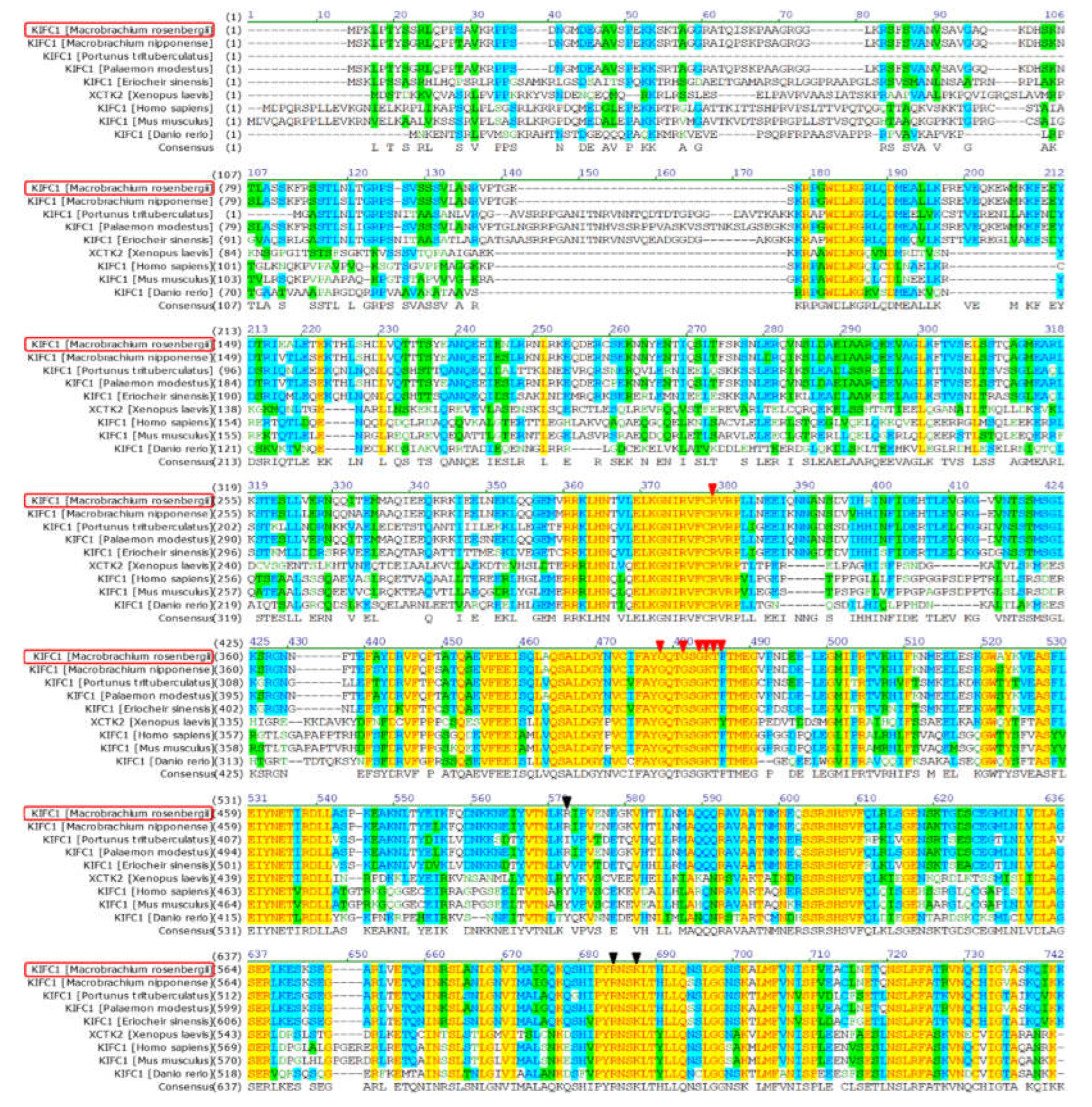 Animals 12 00991 g002 Animals 12 00991 g002