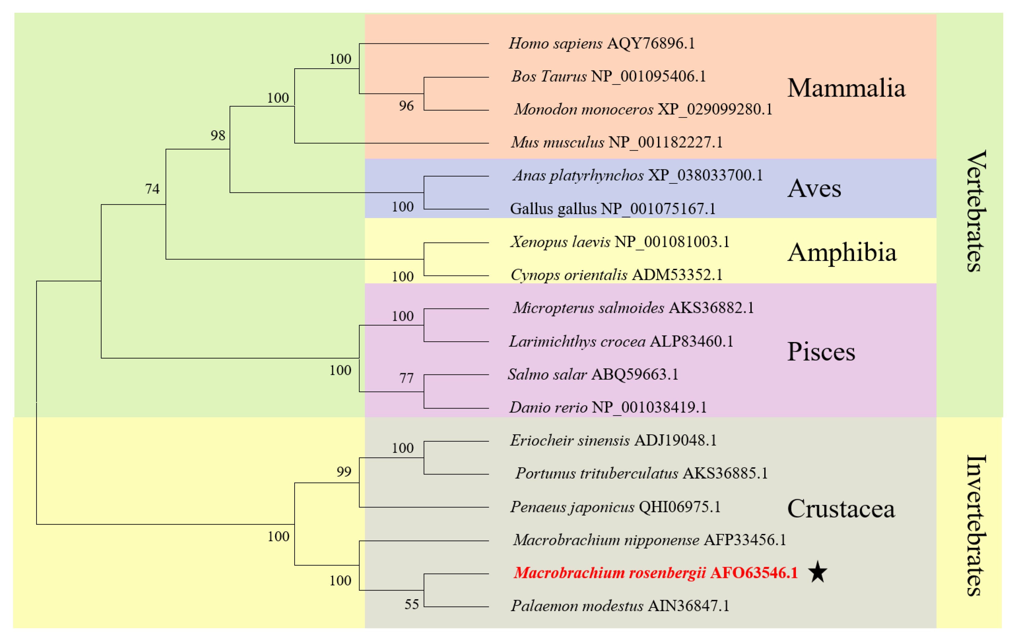 Animals 12 00991 g003 Animals 12 00991 g003