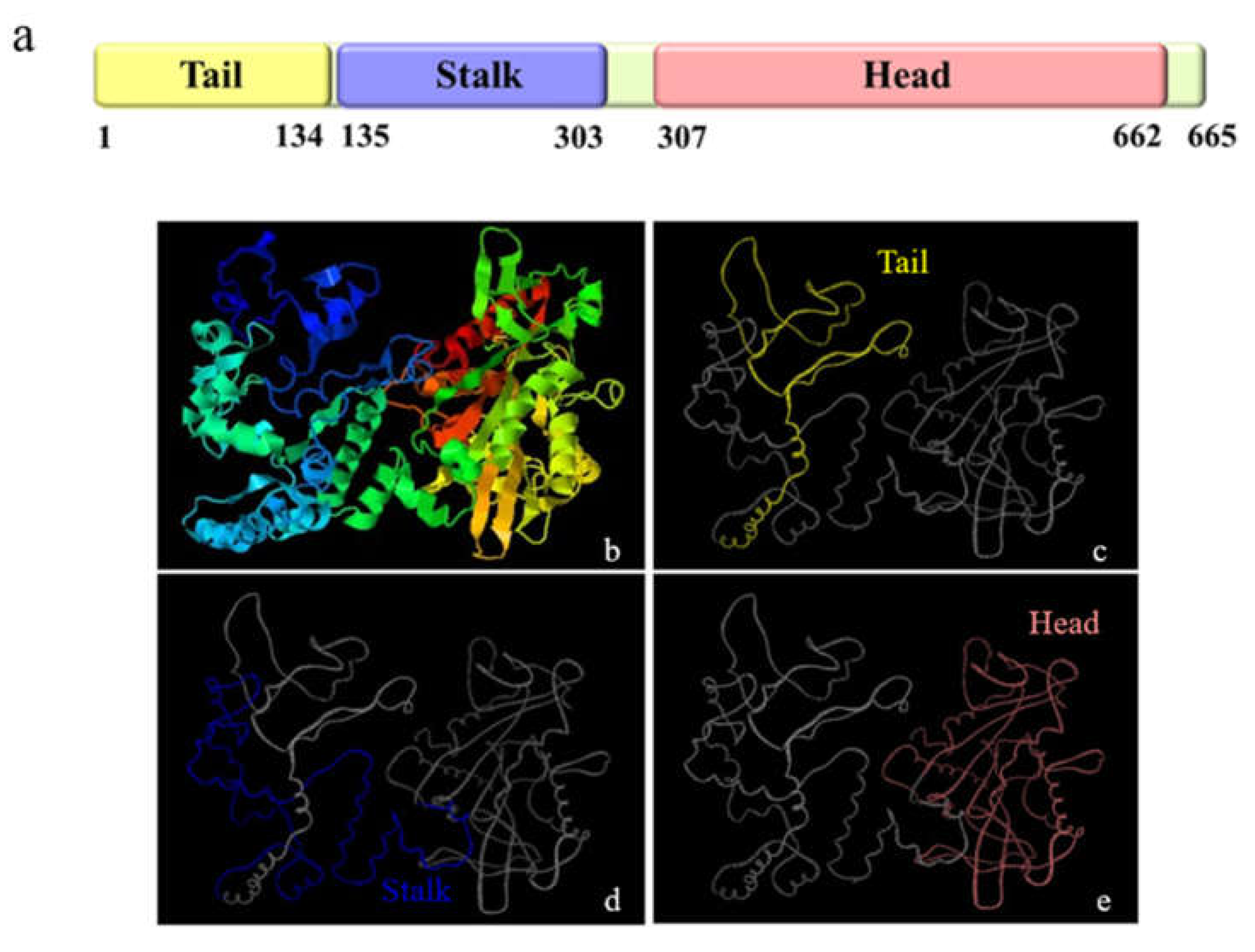 Animals 12 00991 g004 Animals 12 00991 g004