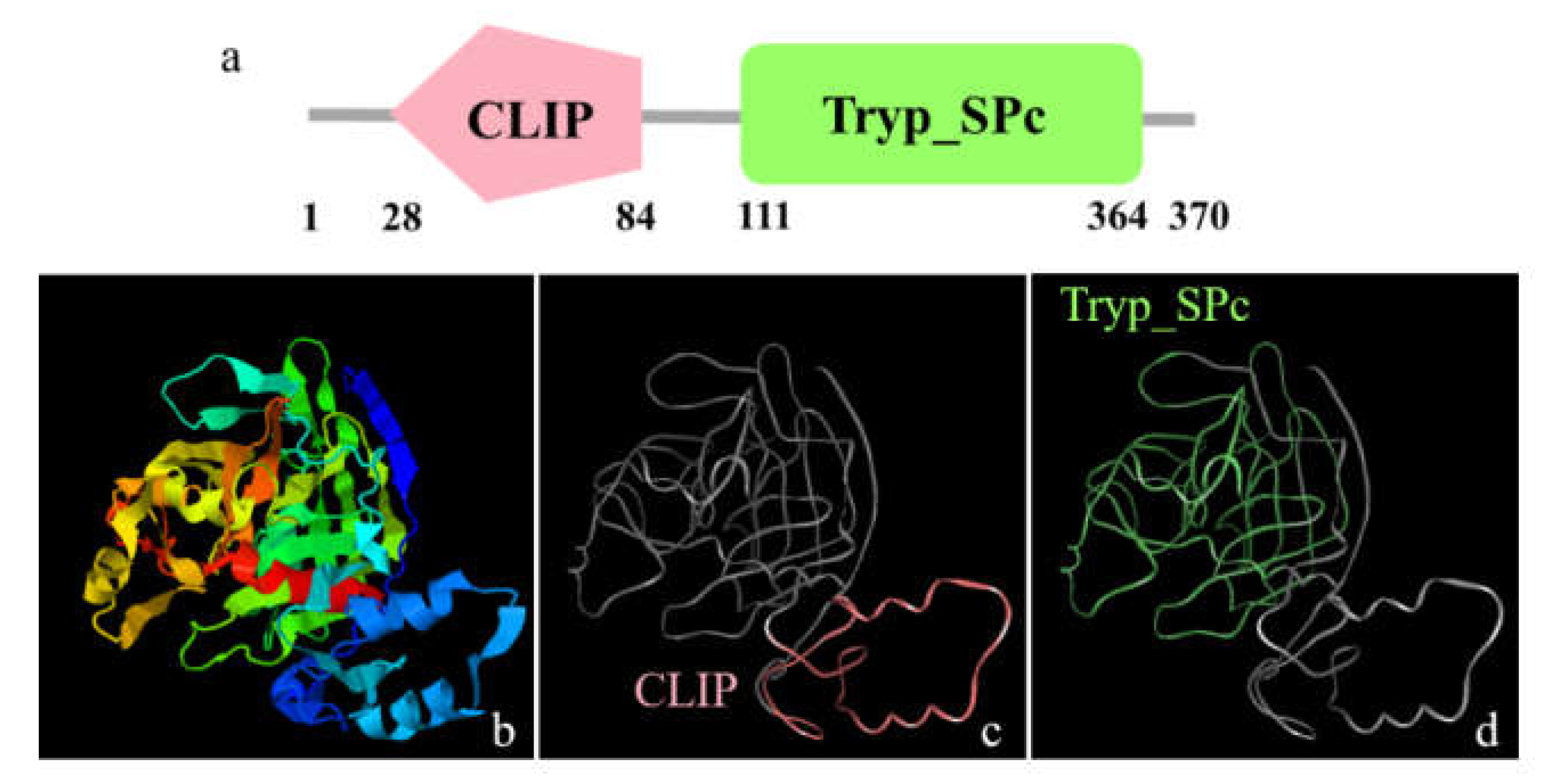 Animals 12 00991 g006 Animals 12 00991 g006