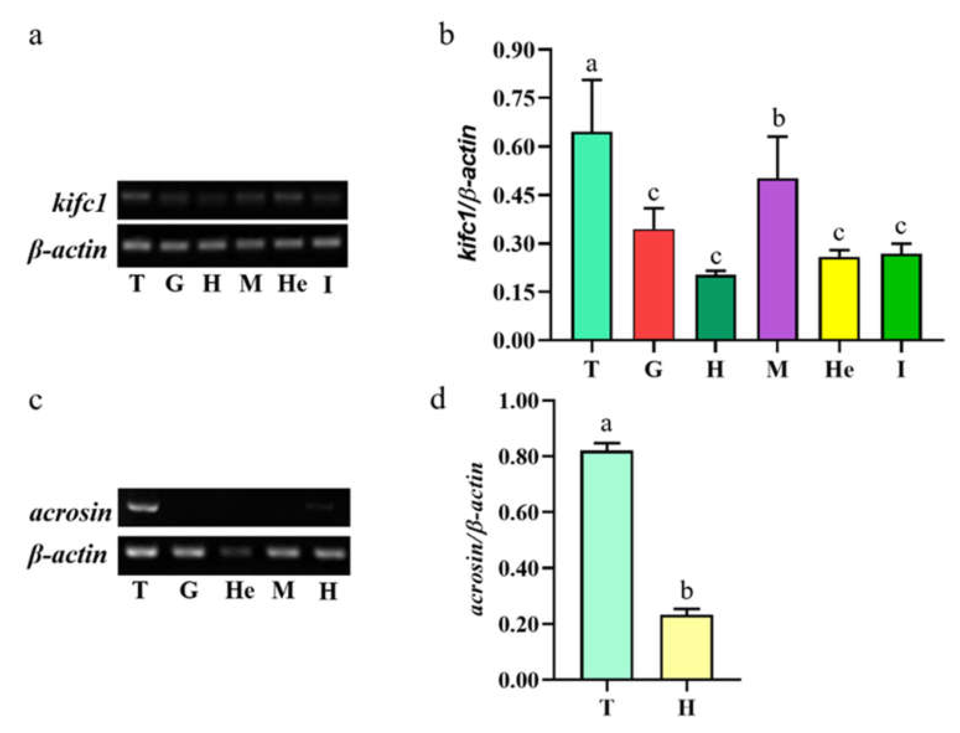 Animals 12 00991 g007 Animals 12 00991 g007