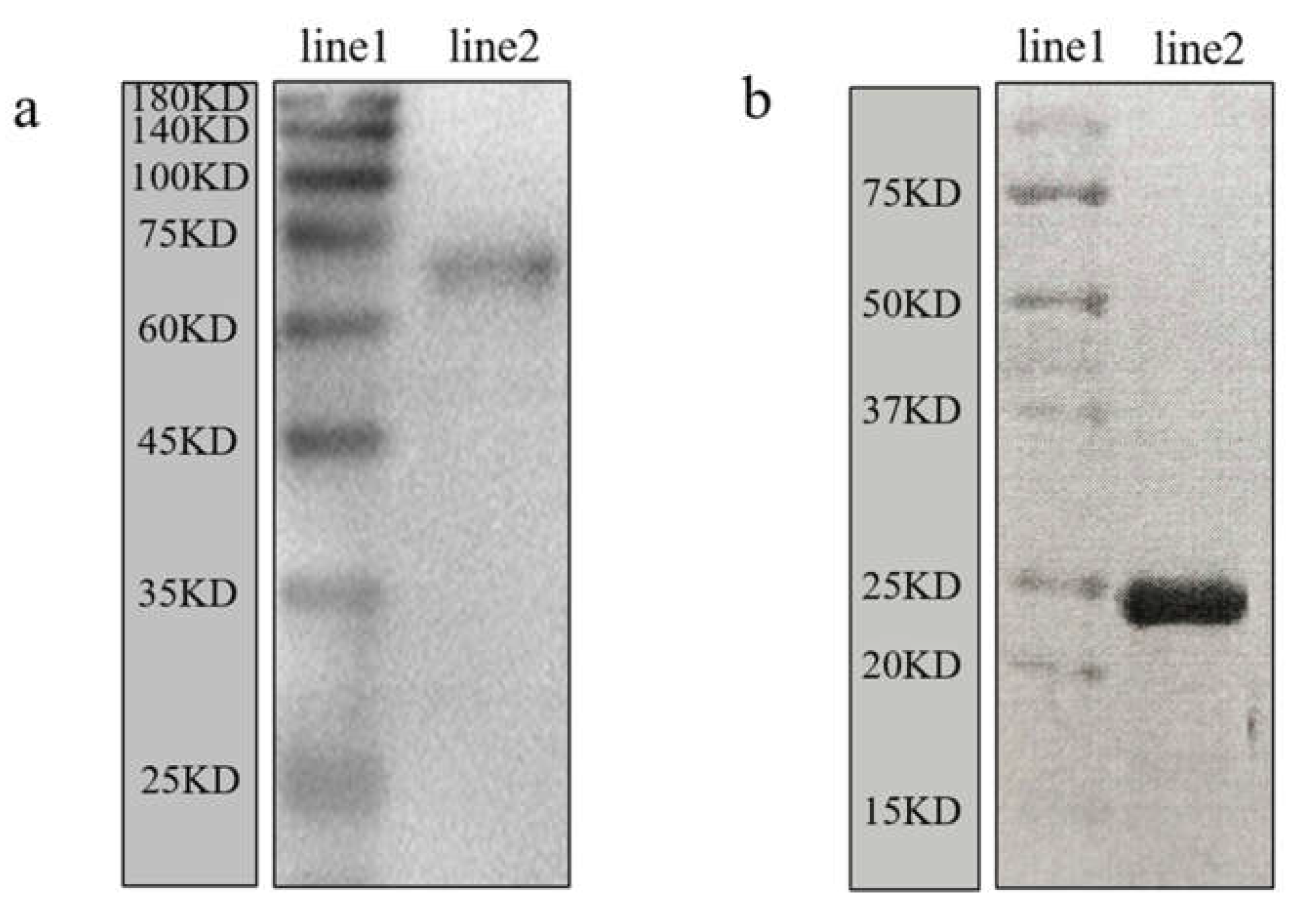 Animals 12 00991 g009 Animals 12 00991 g009