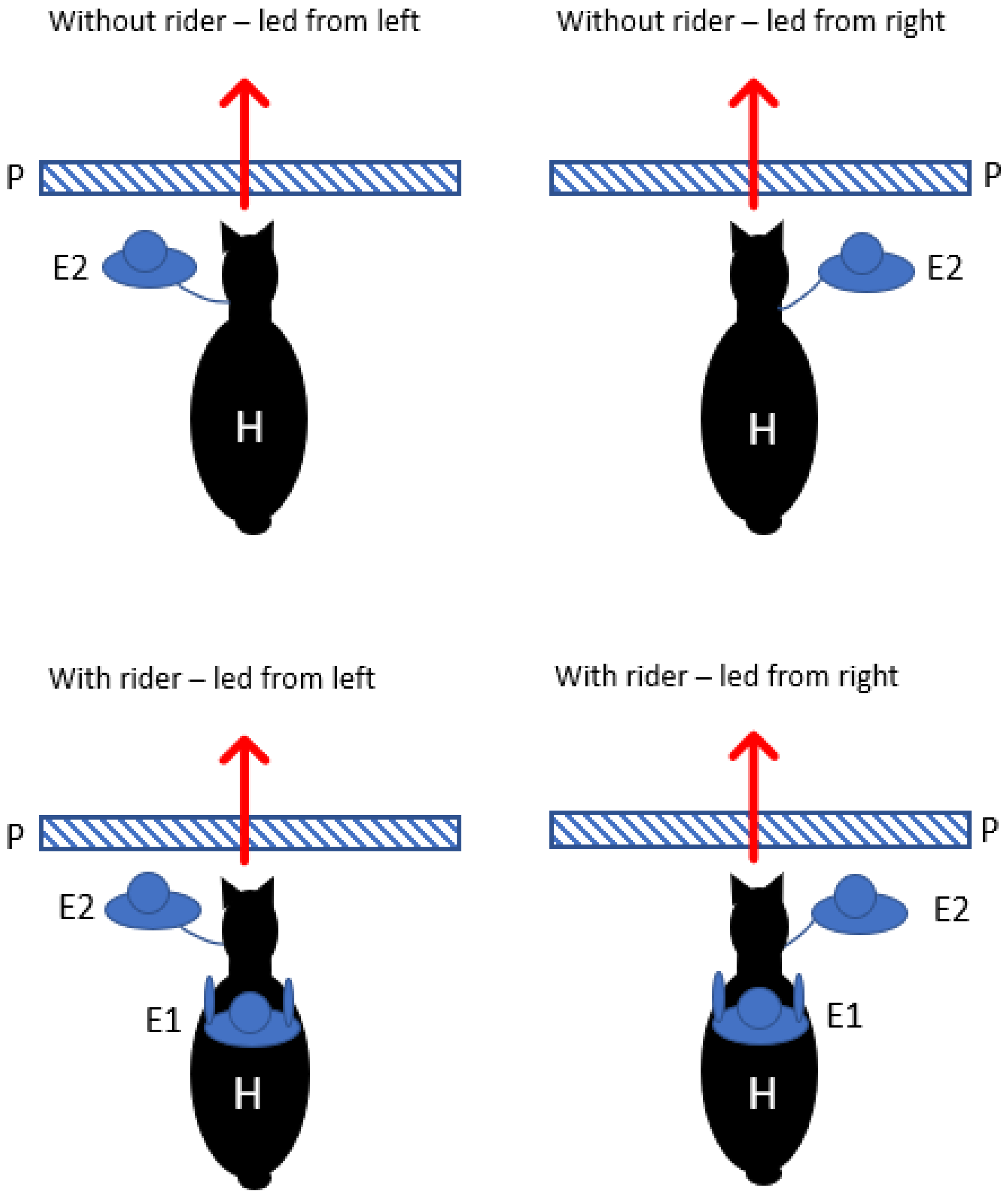 Animals 12 00992 g002 550