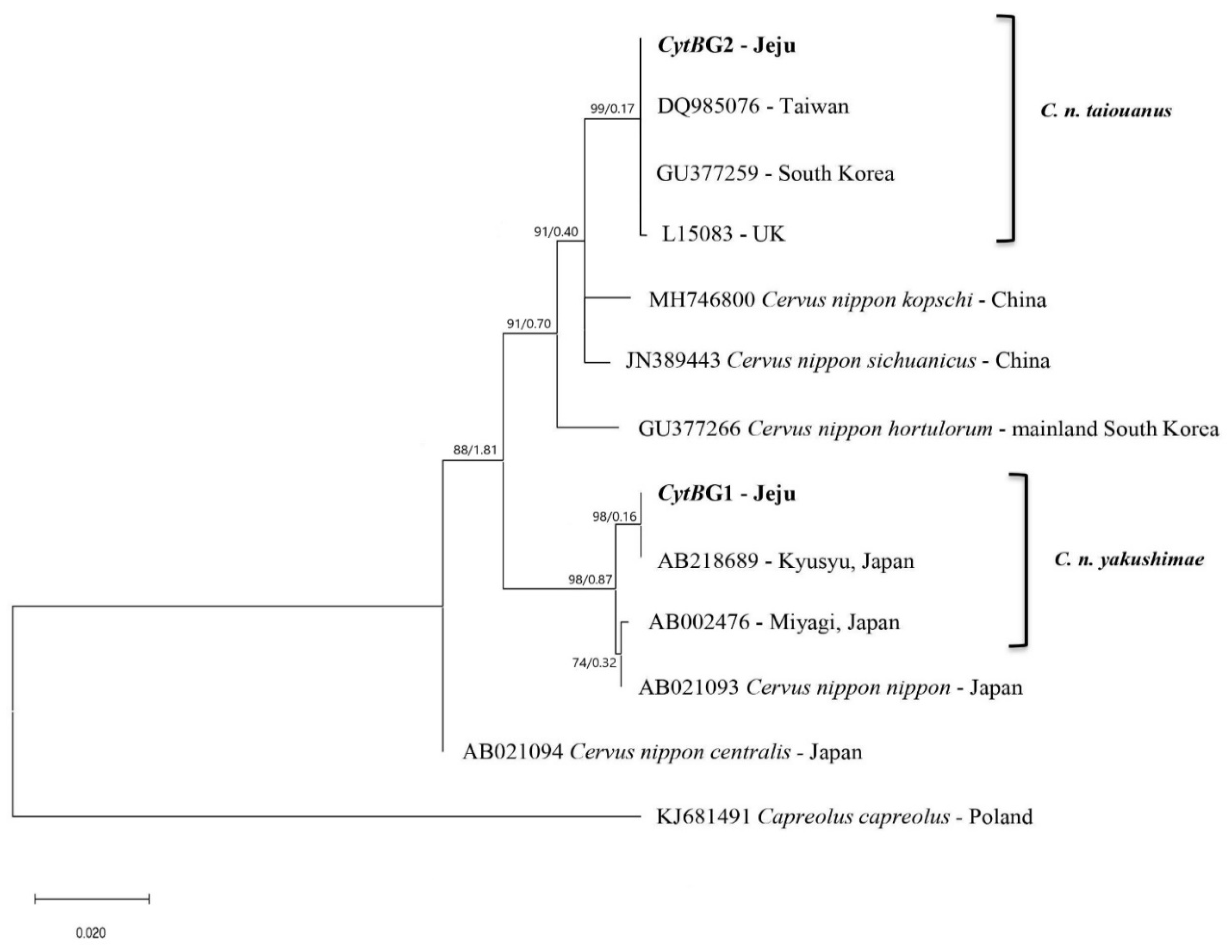 Animals 12 00998 g002 Animals 12 00998 g002