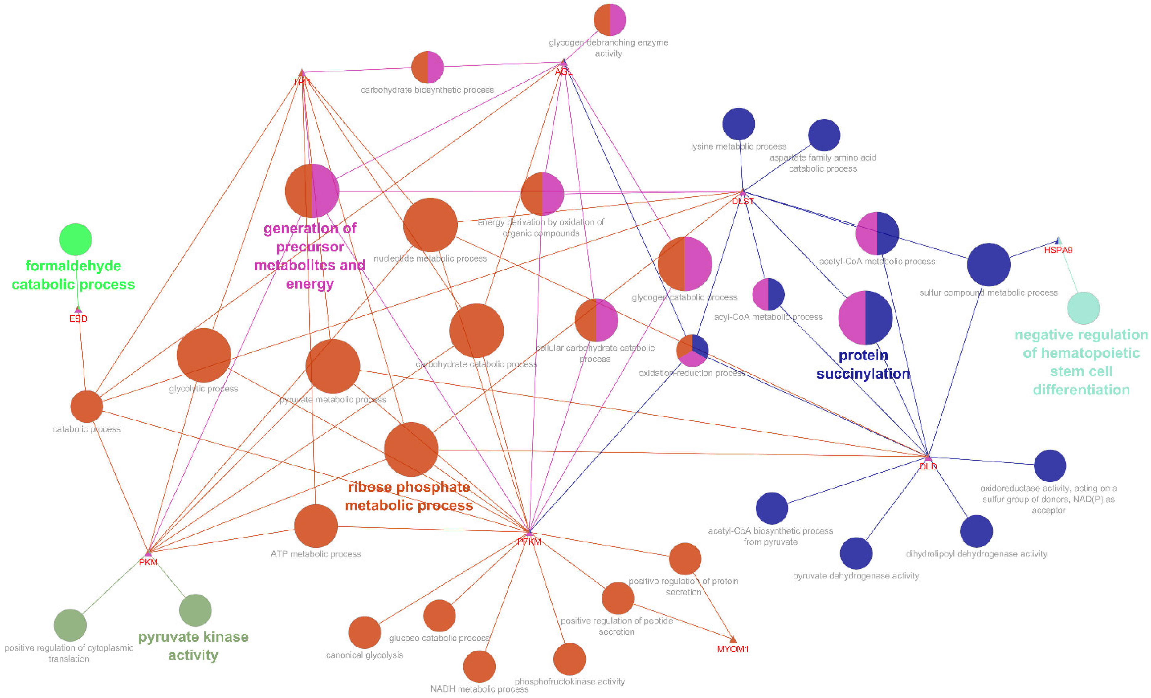 Animals 12 01011 g003