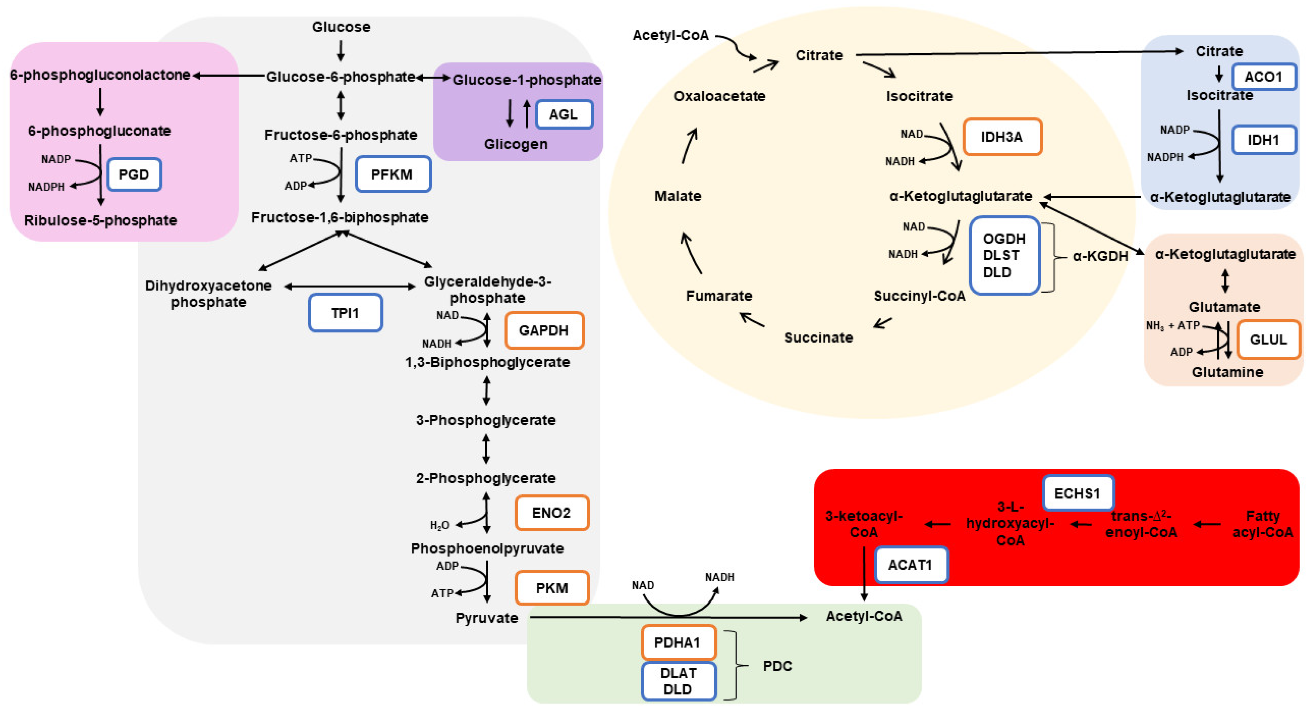 Animals 12 01011 g004