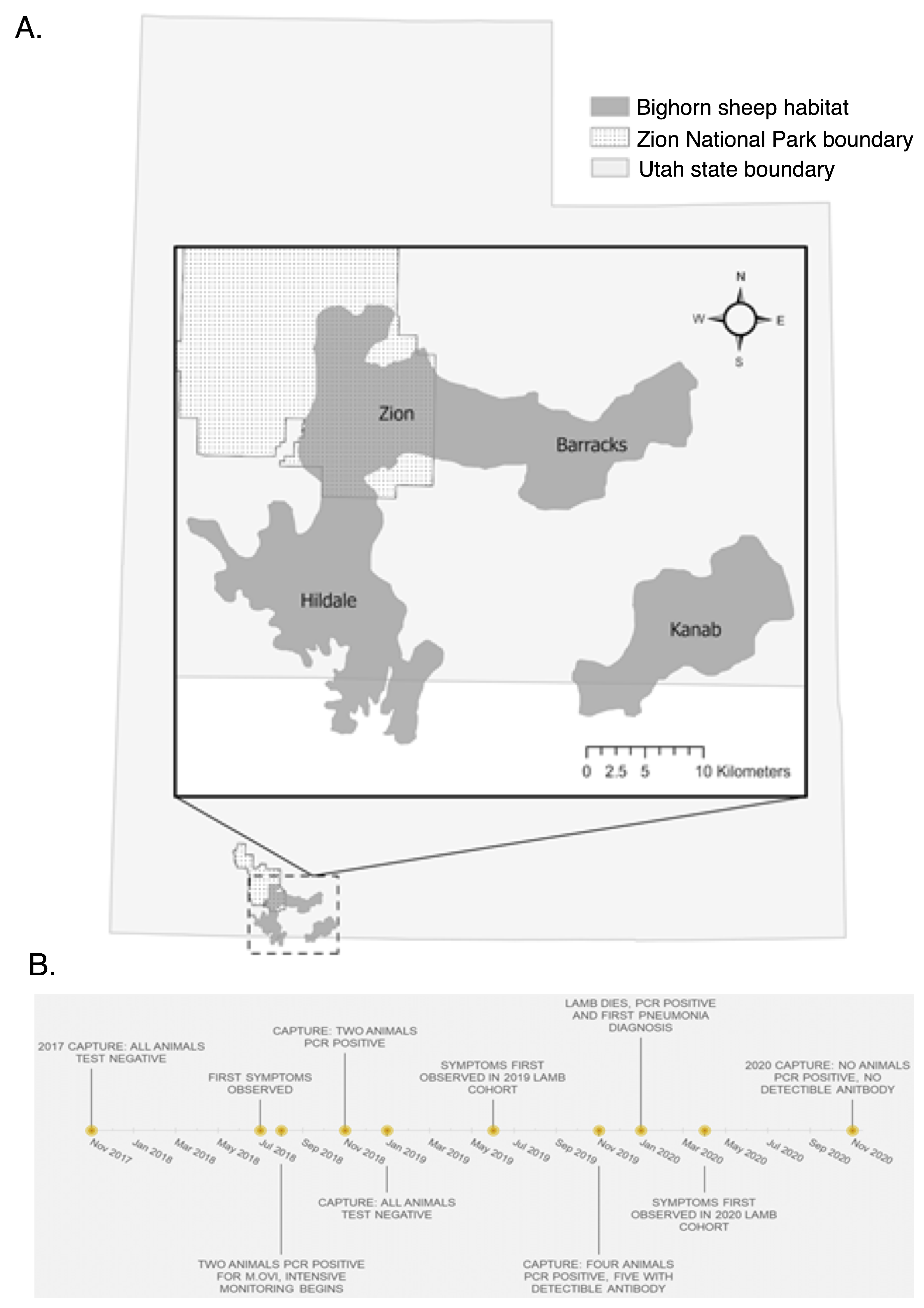 Animals Free Full-Text Disease Ecology of a Low-Virulence Mycoplasma ovipneumoniae Strain in a Free-Ranging Desert Bighorn Sheep Population