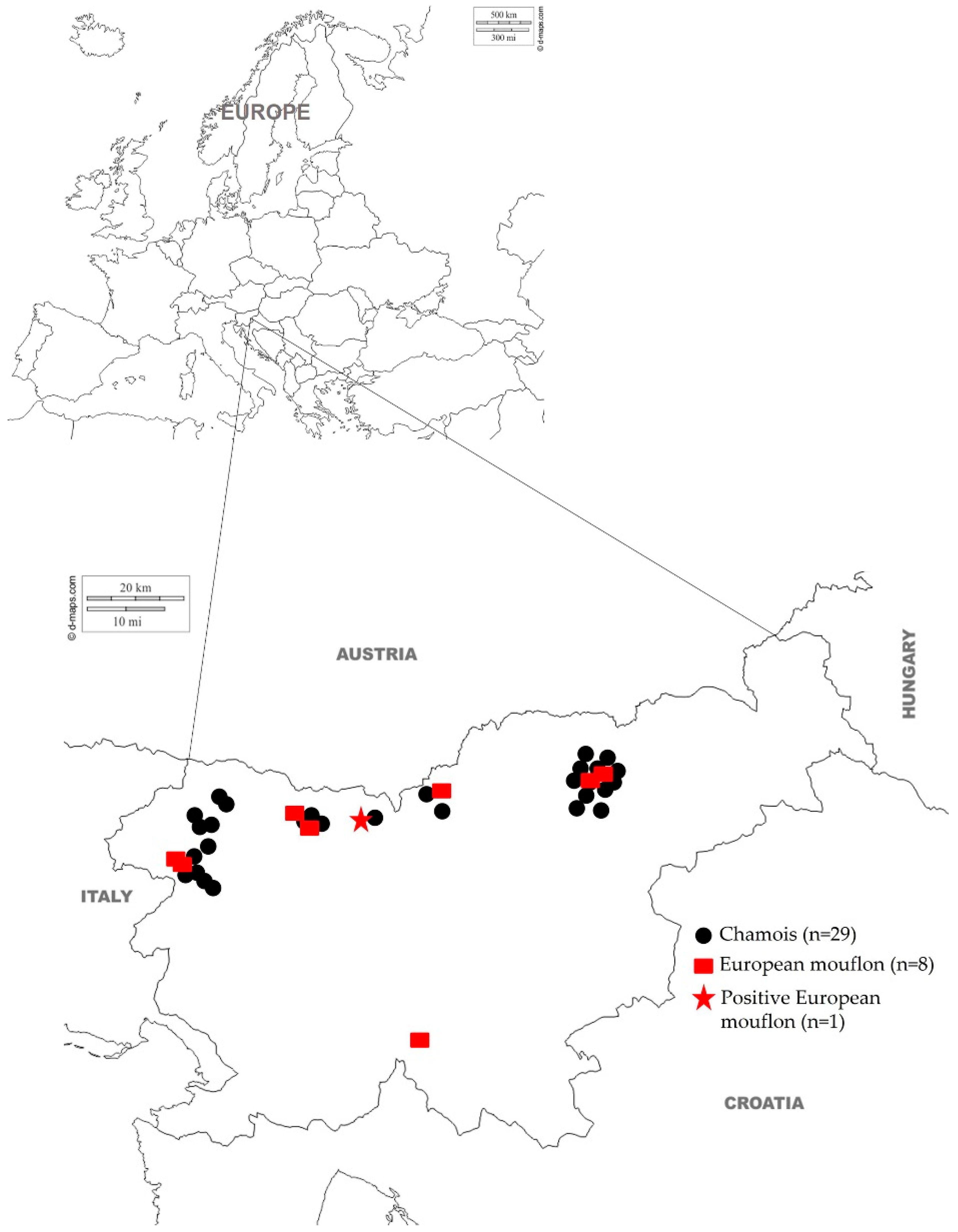 Animals 12 01032 g001 550