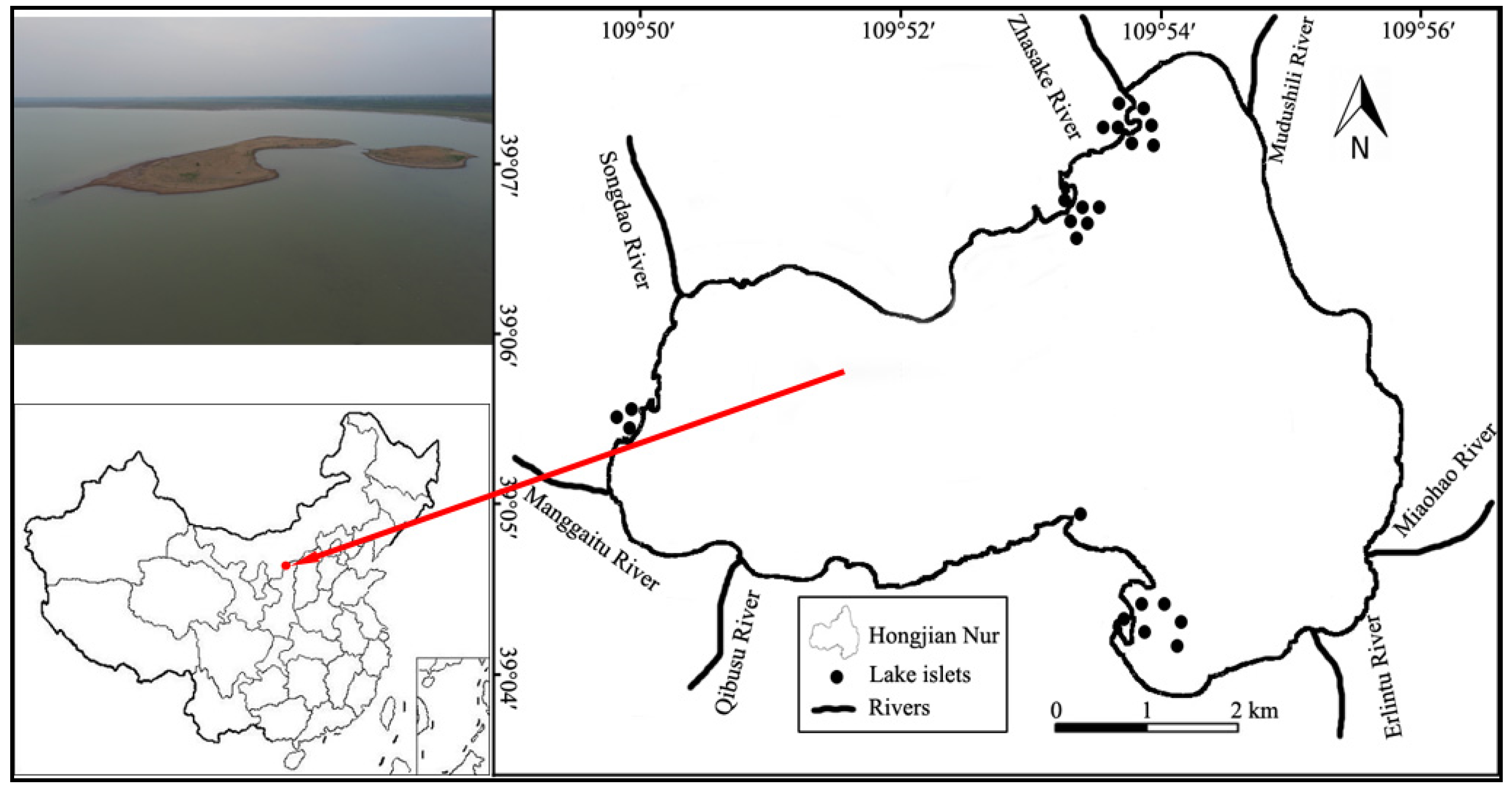 Animals 12 01035 g001