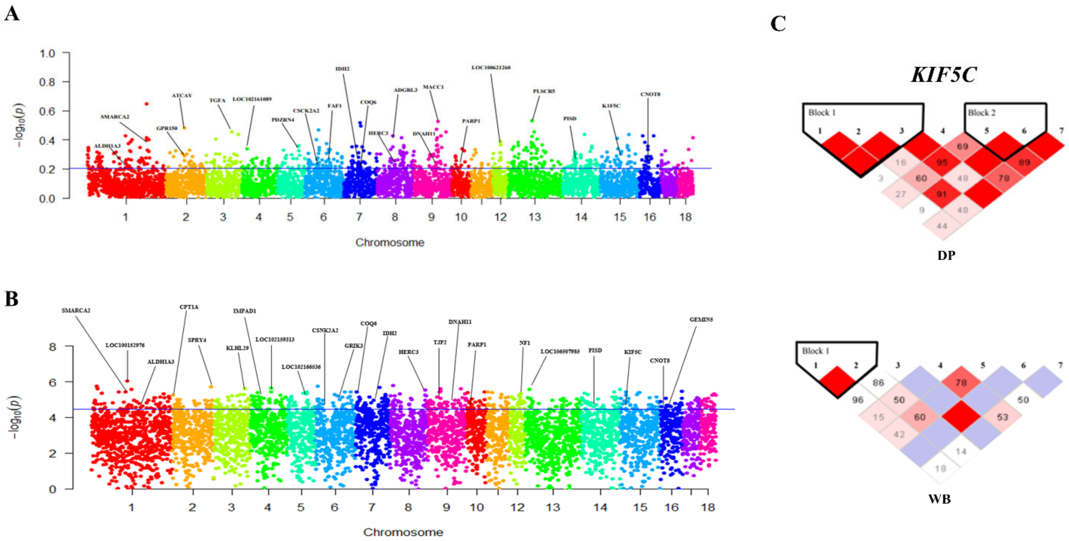 Animals 12 01037 g003 Animals 12 01037 g003