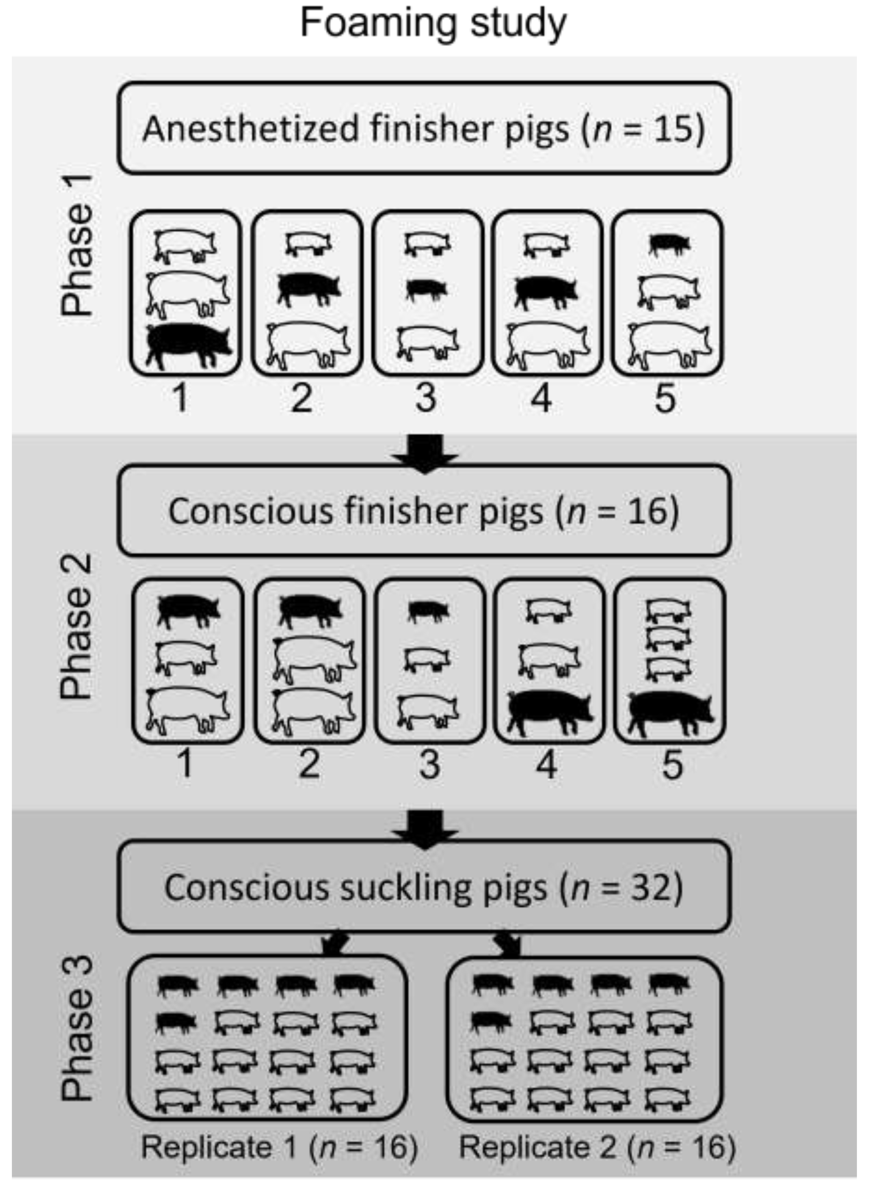 Animals 12 01041 g002