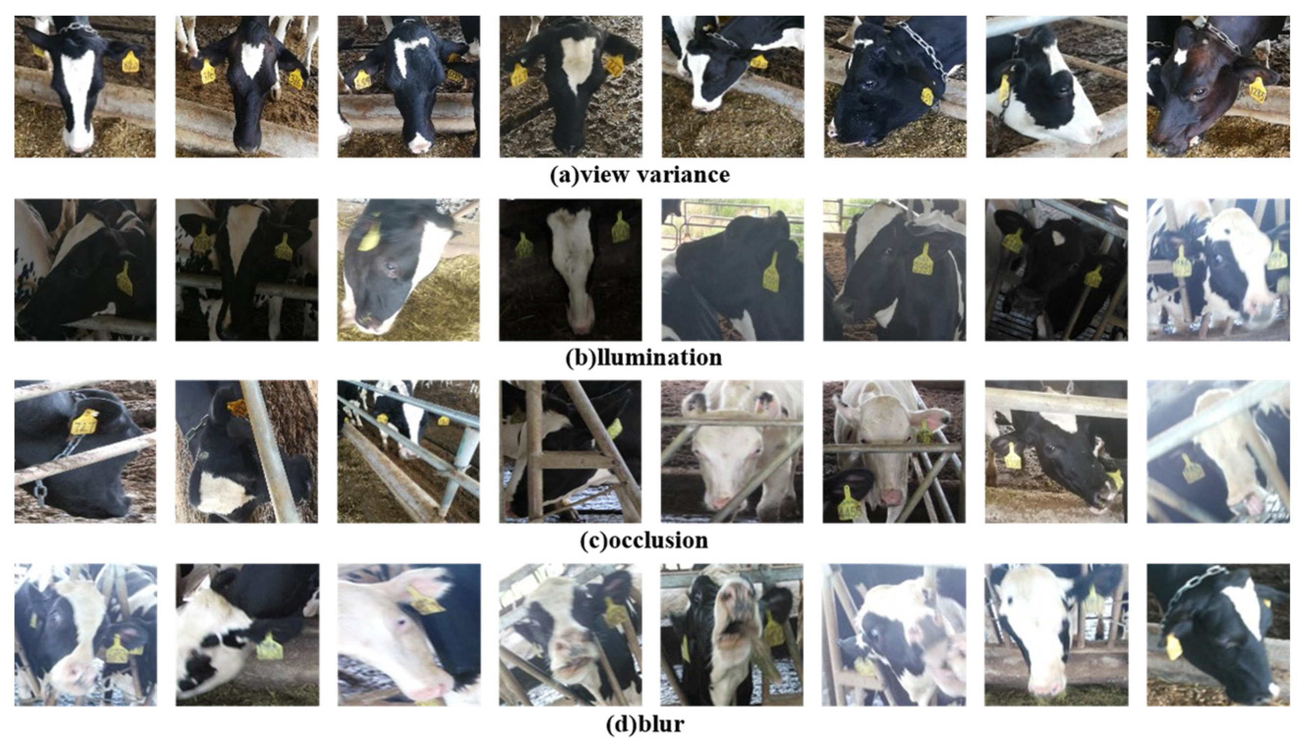 Animals 12 01047 g002 550