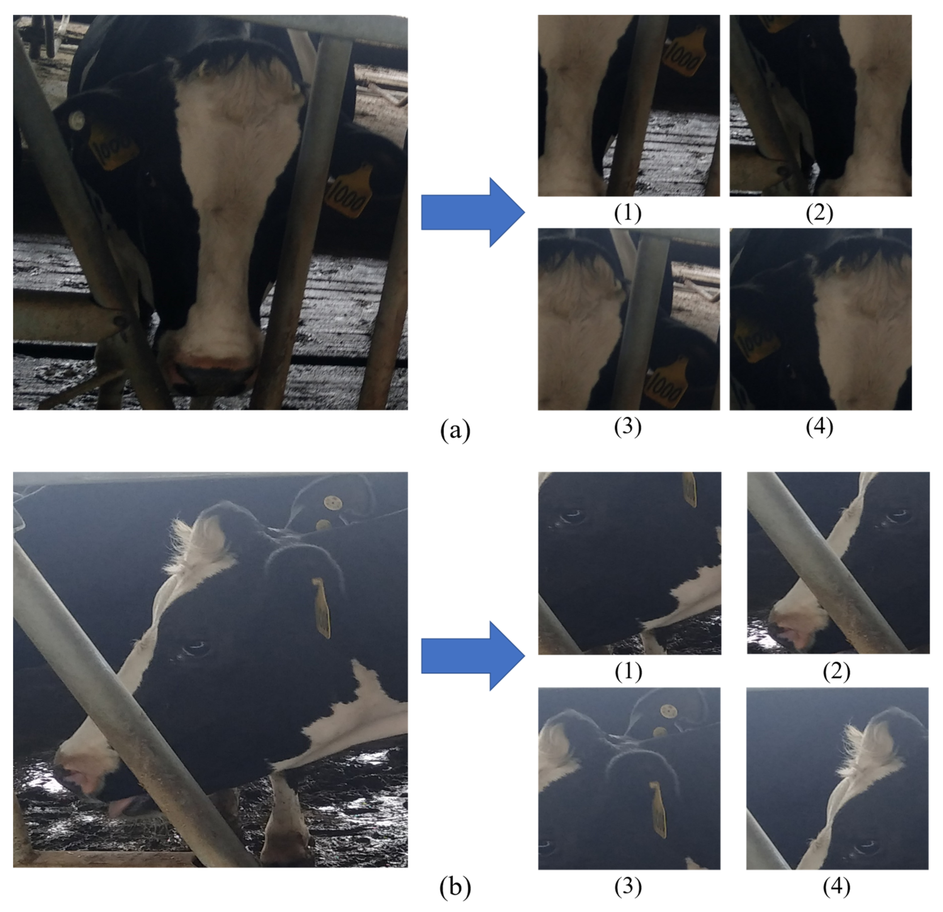 Animals 12 01047 g008 550