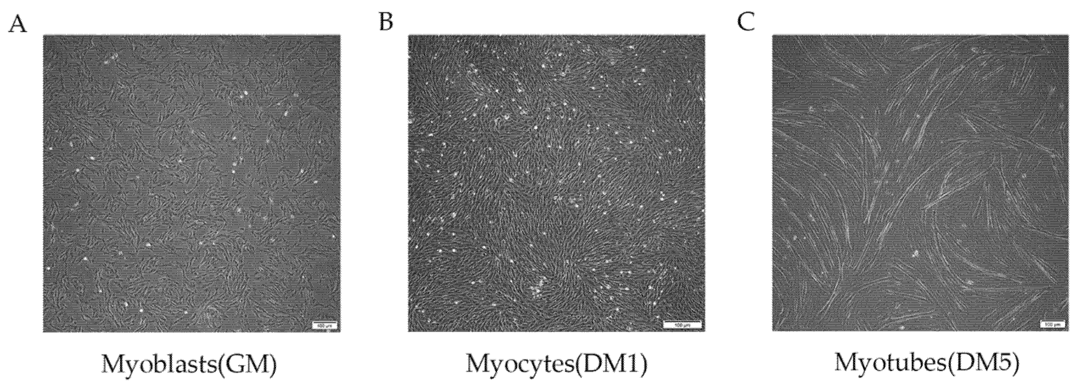 Animals 12 01048 g001