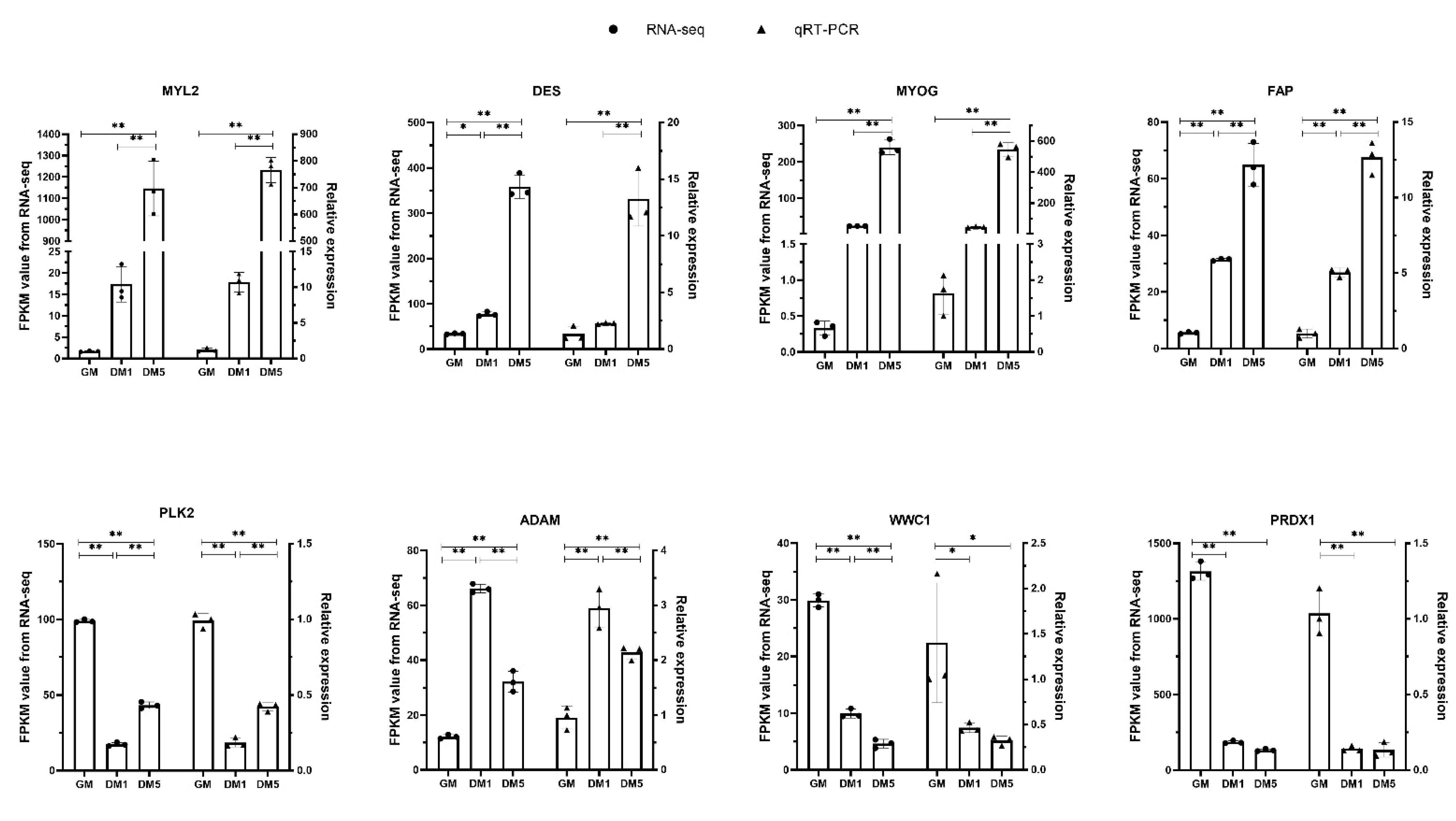 Animals 12 01048 g007