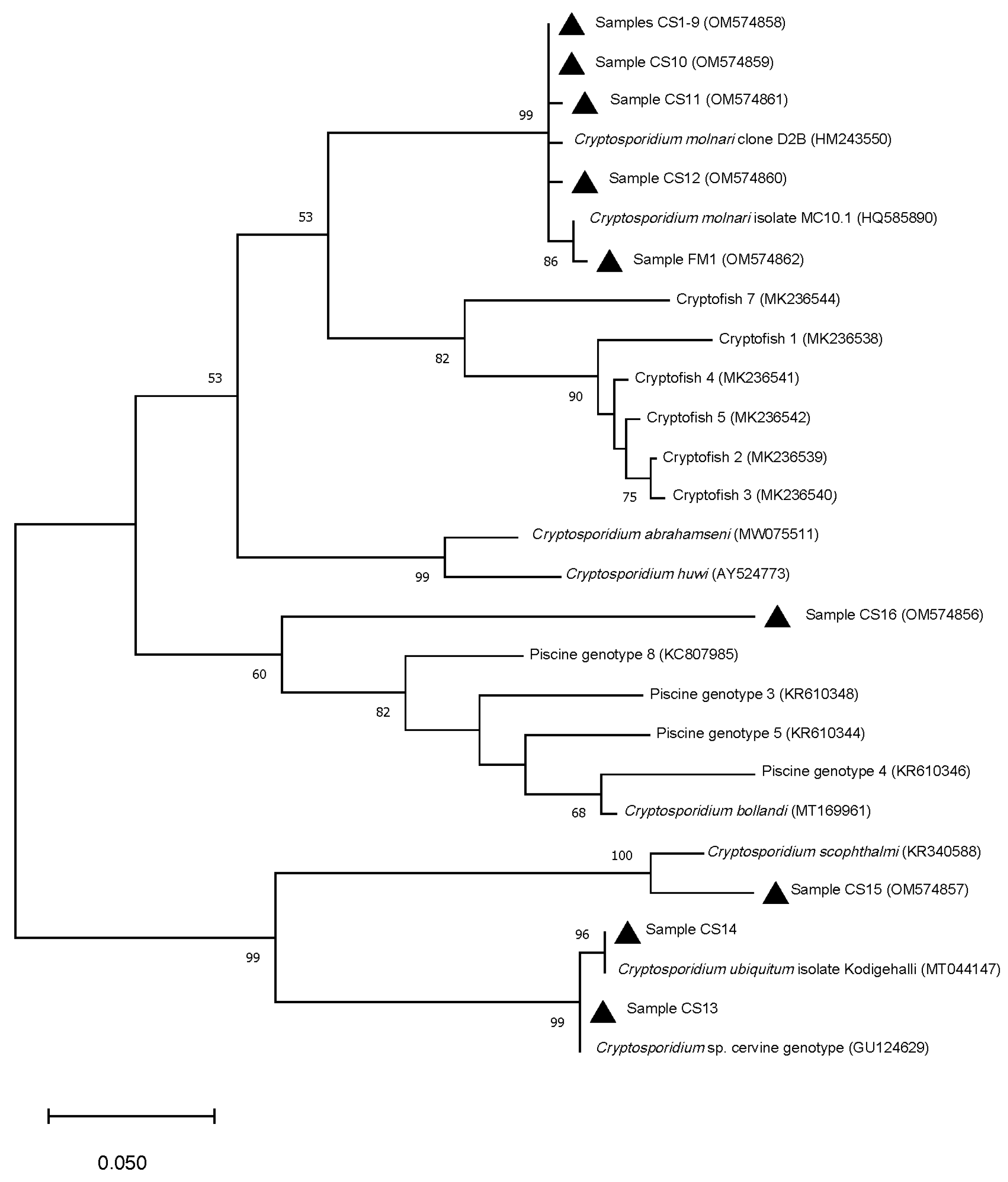 Animals 12 01052 g002 Animals 12 01052 g002