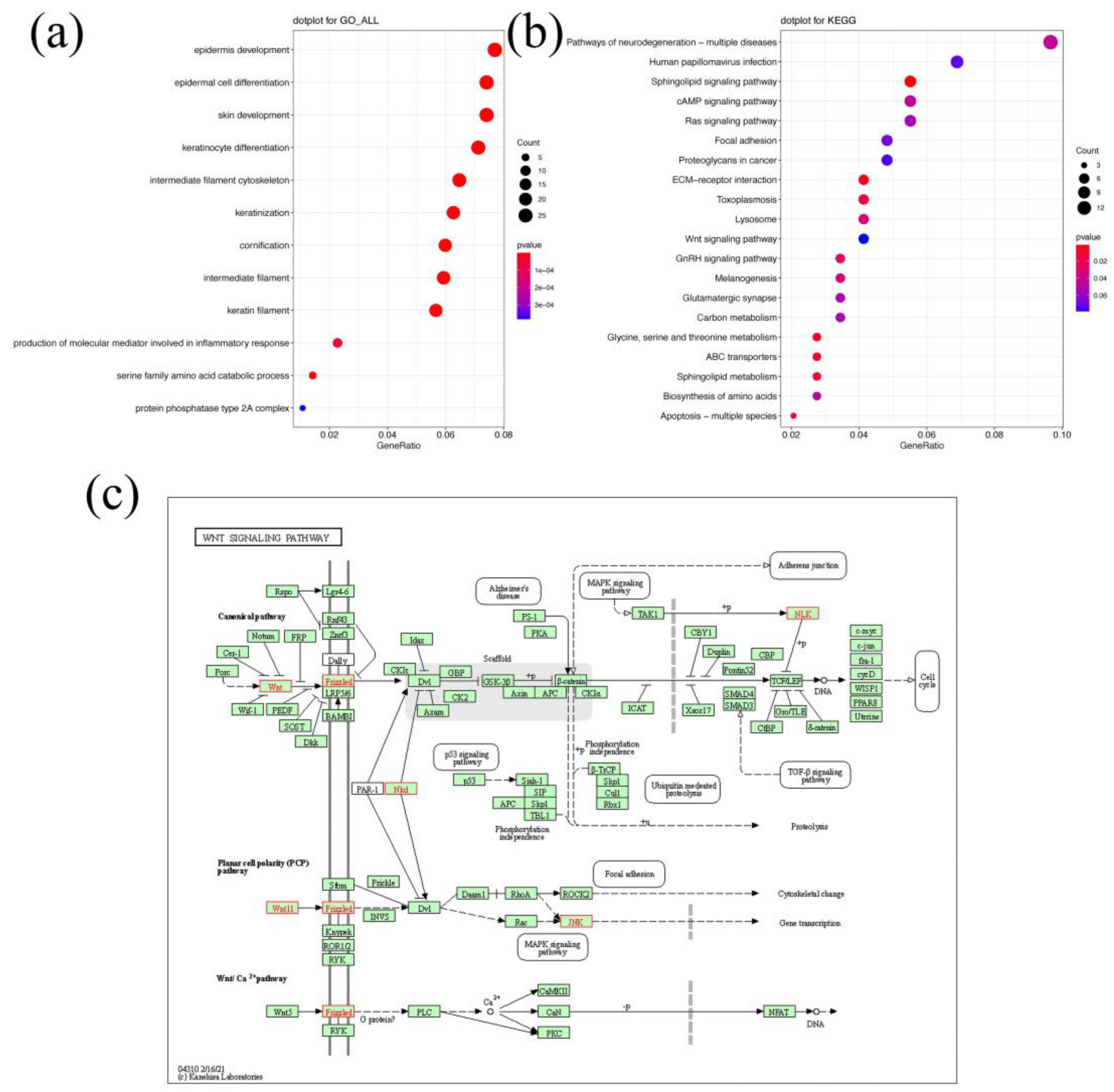 Animals 12 01057 g005