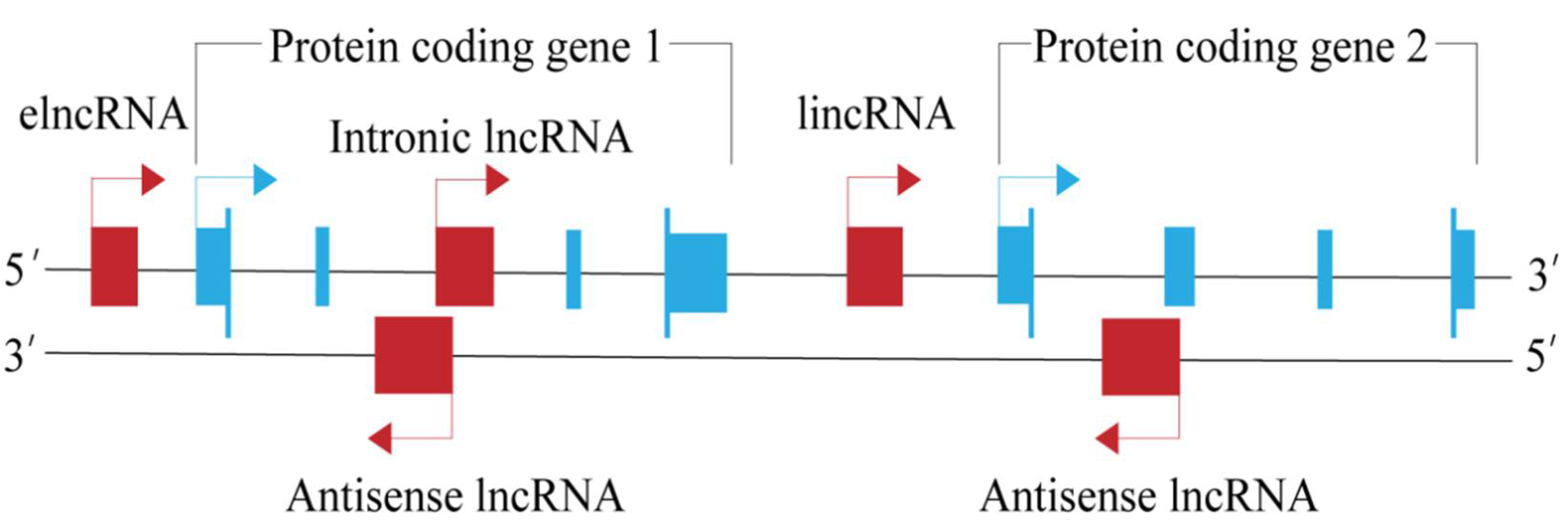 Animals 12 01059 g001 550