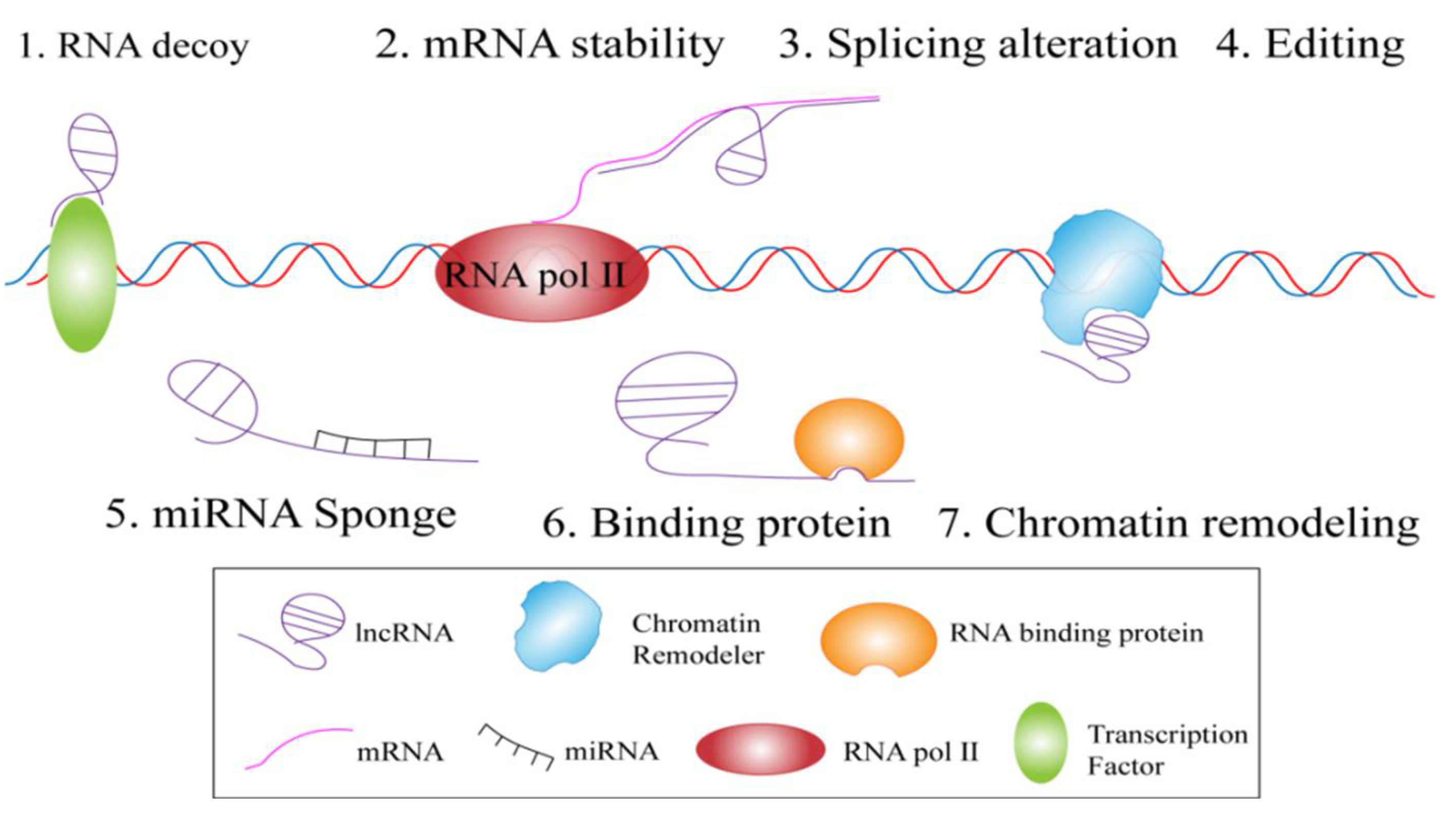 Animals 12 01059 g002 550