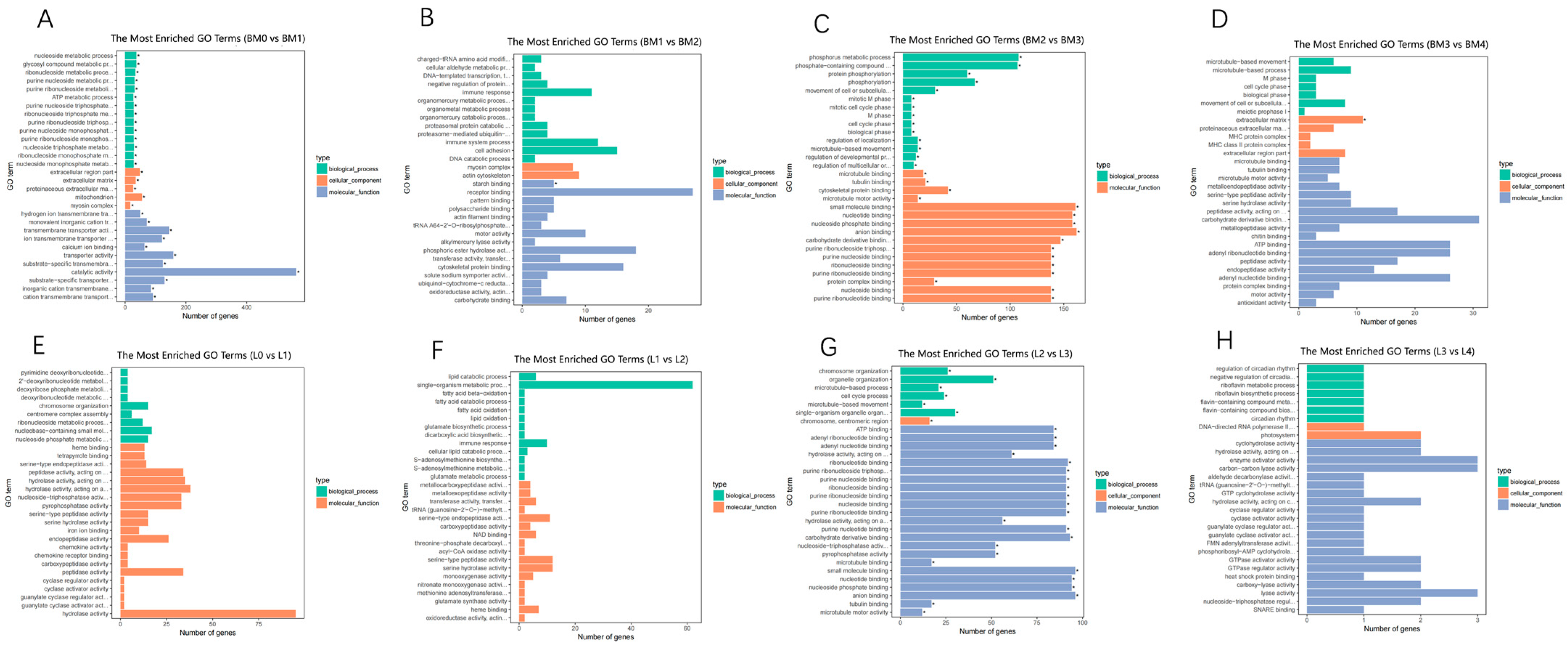Animals 12 01061 g004