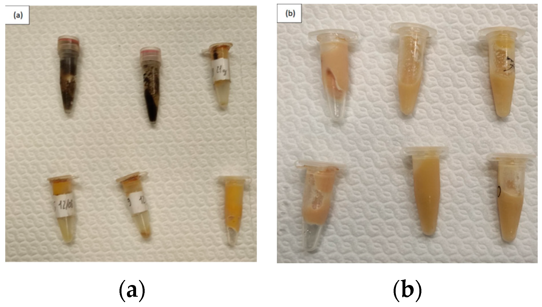 Animals 12 01069 g002