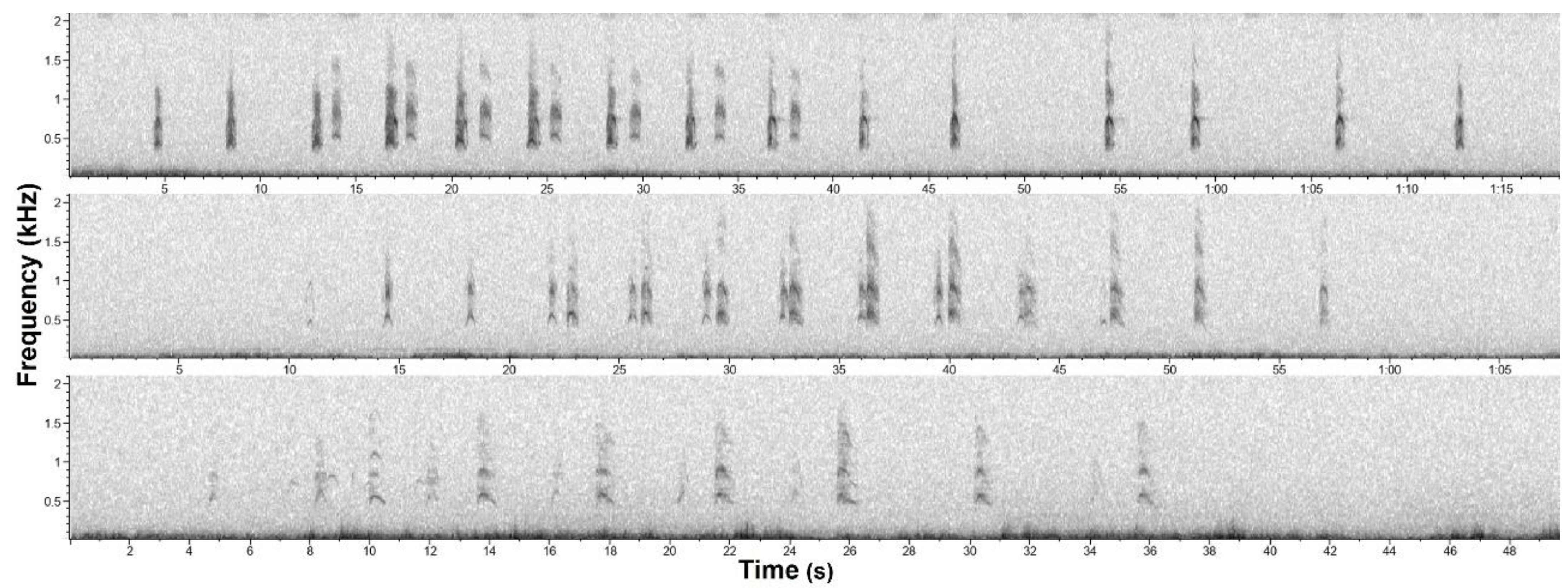 Animals 12 01081 g002