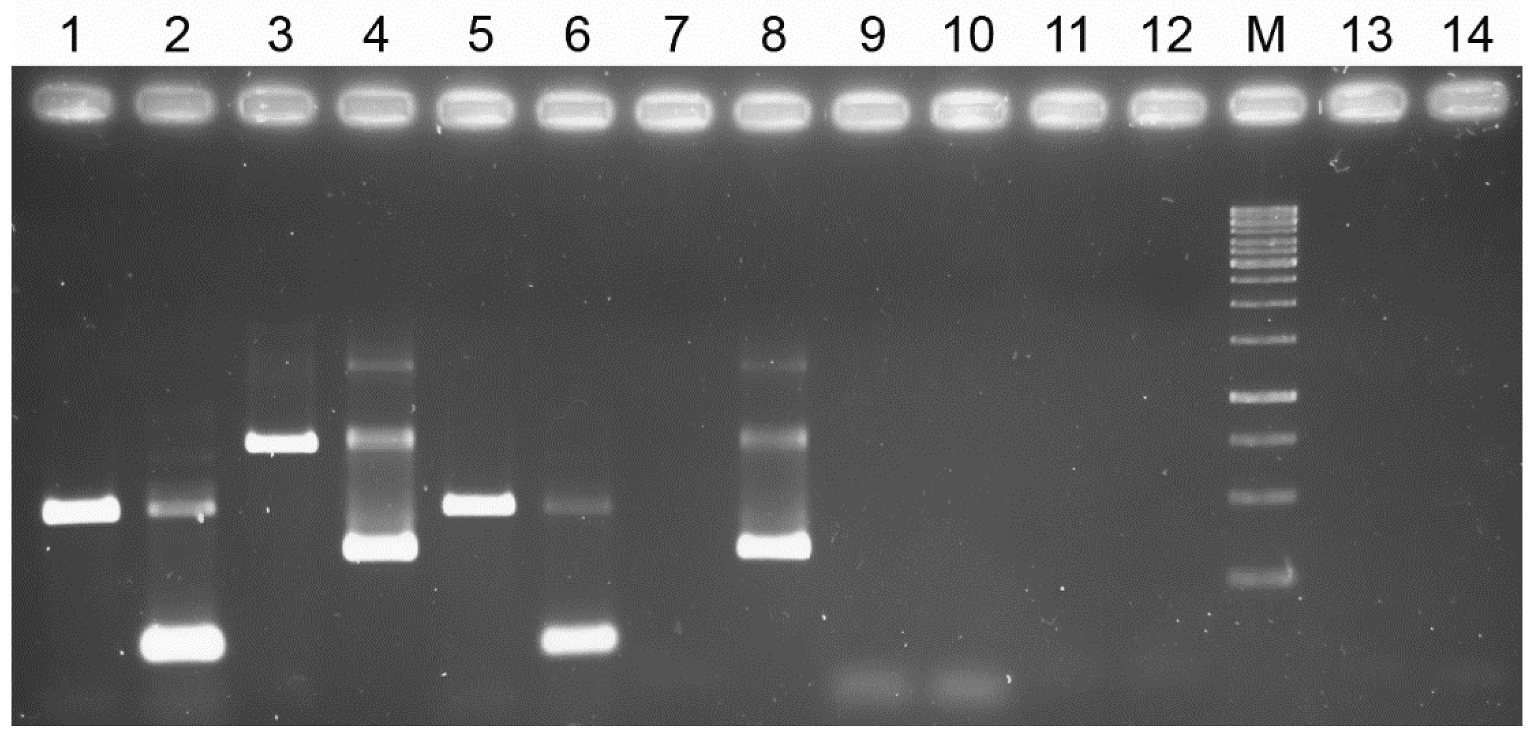 Animals 12 01084 g001