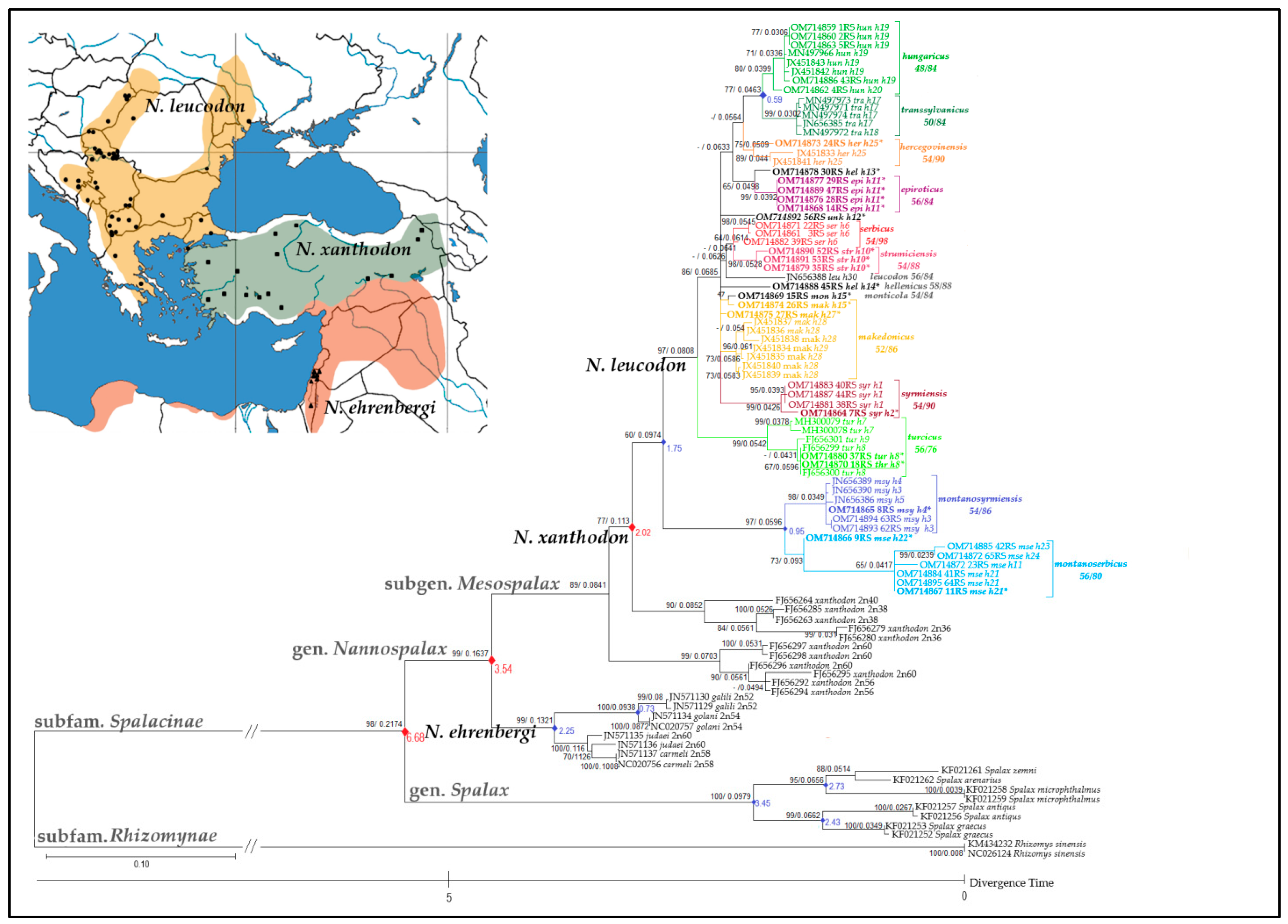 Animals 12 01097 g003