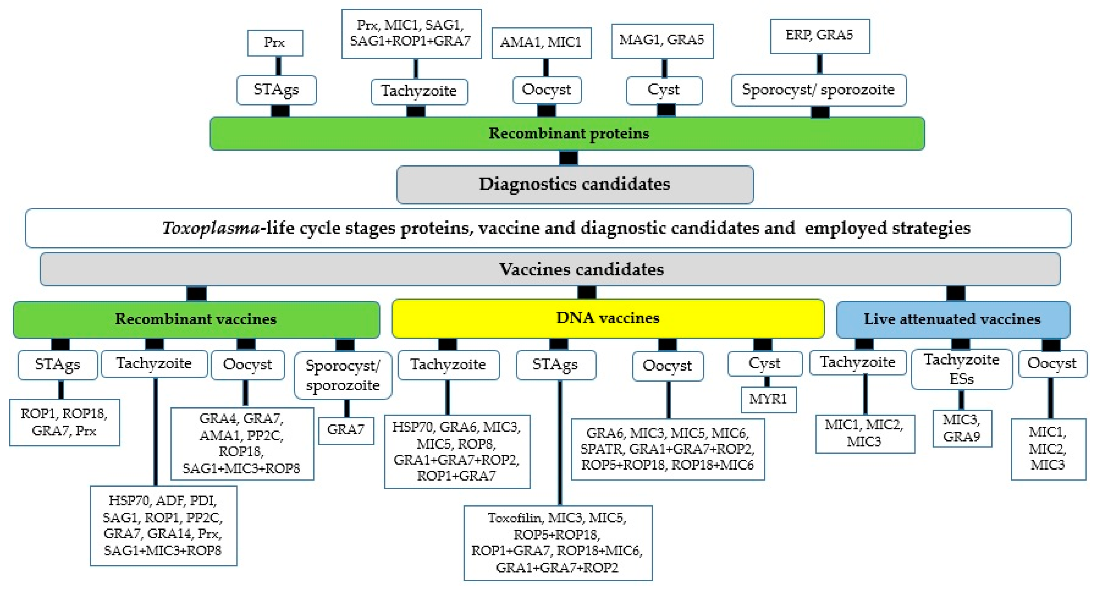 Animals 12 01098 g002 Animals 12 01098 g002
