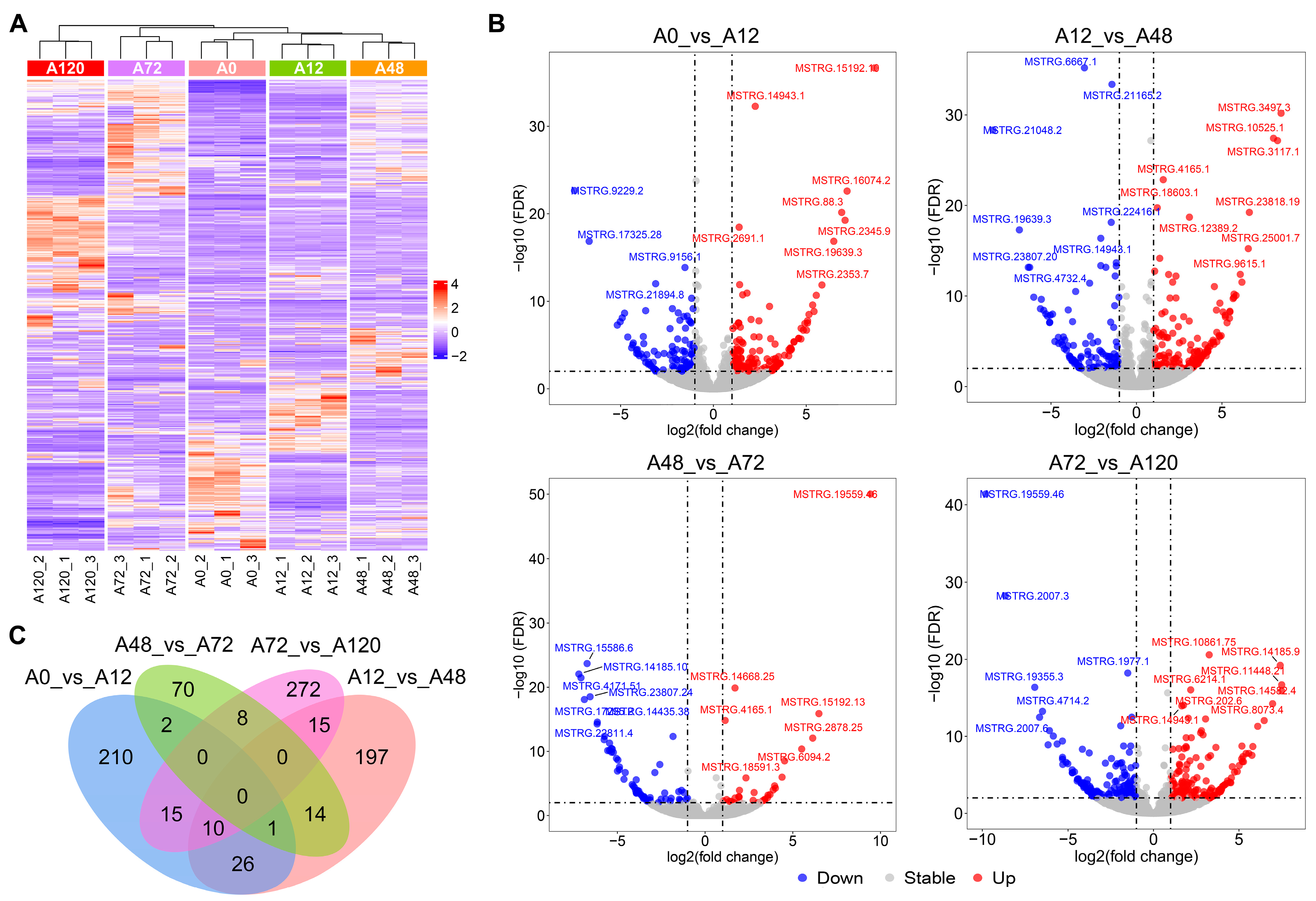 Animals 12 01099 g001 550
