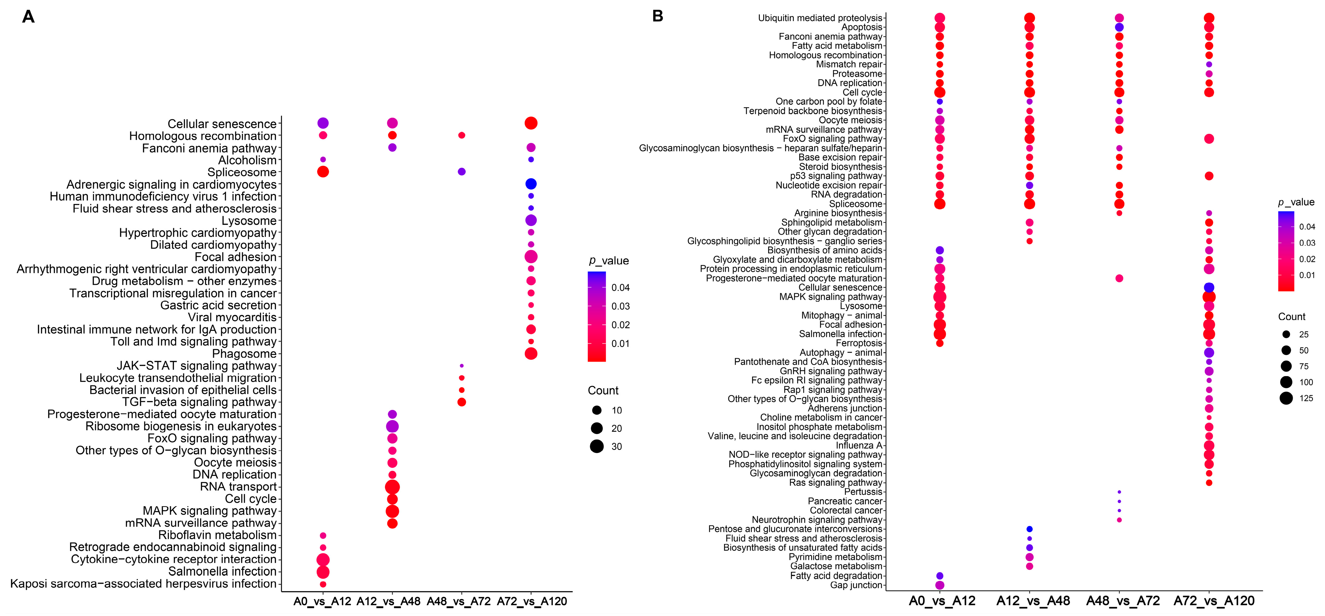 Animals 12 01099 g003 550