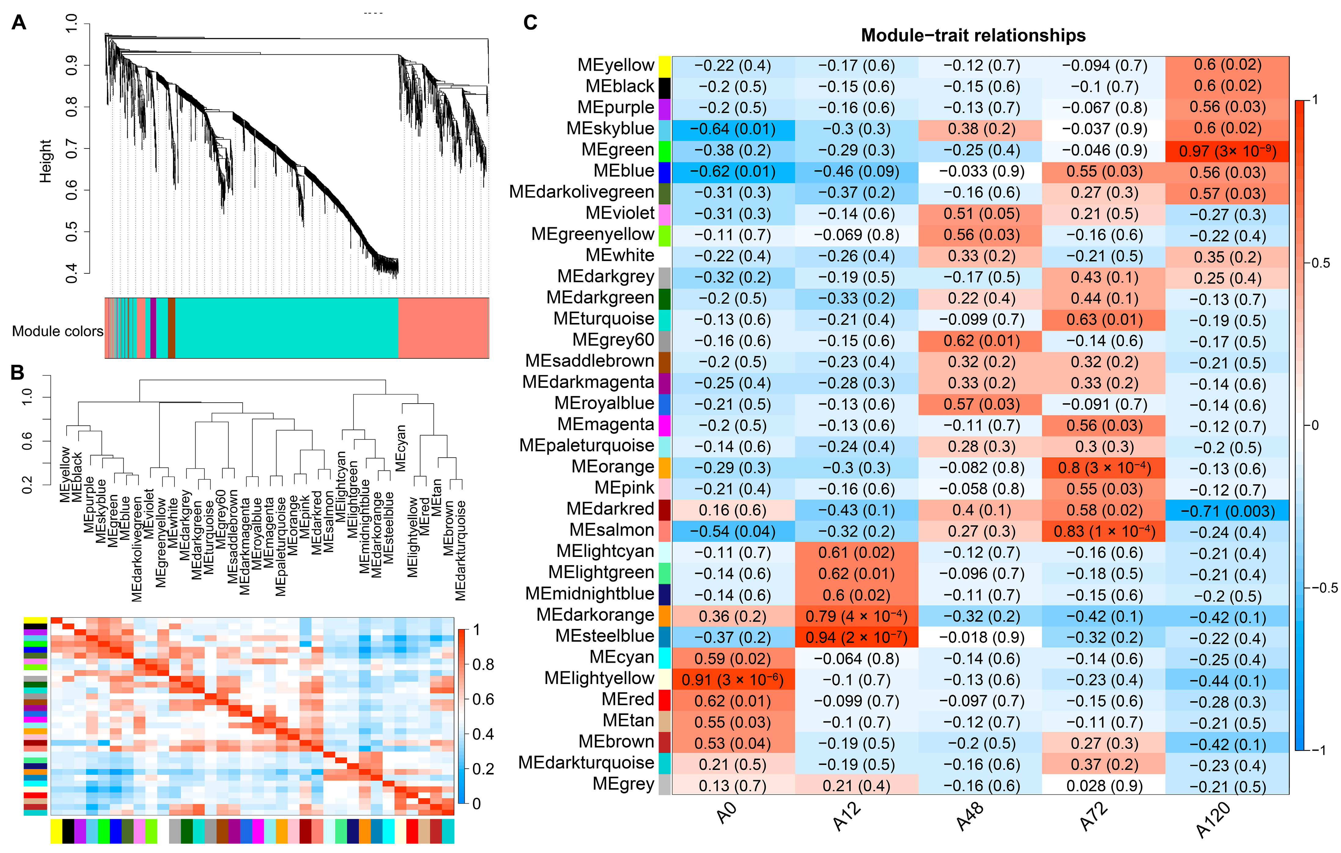 Animals 12 01099 g005 550