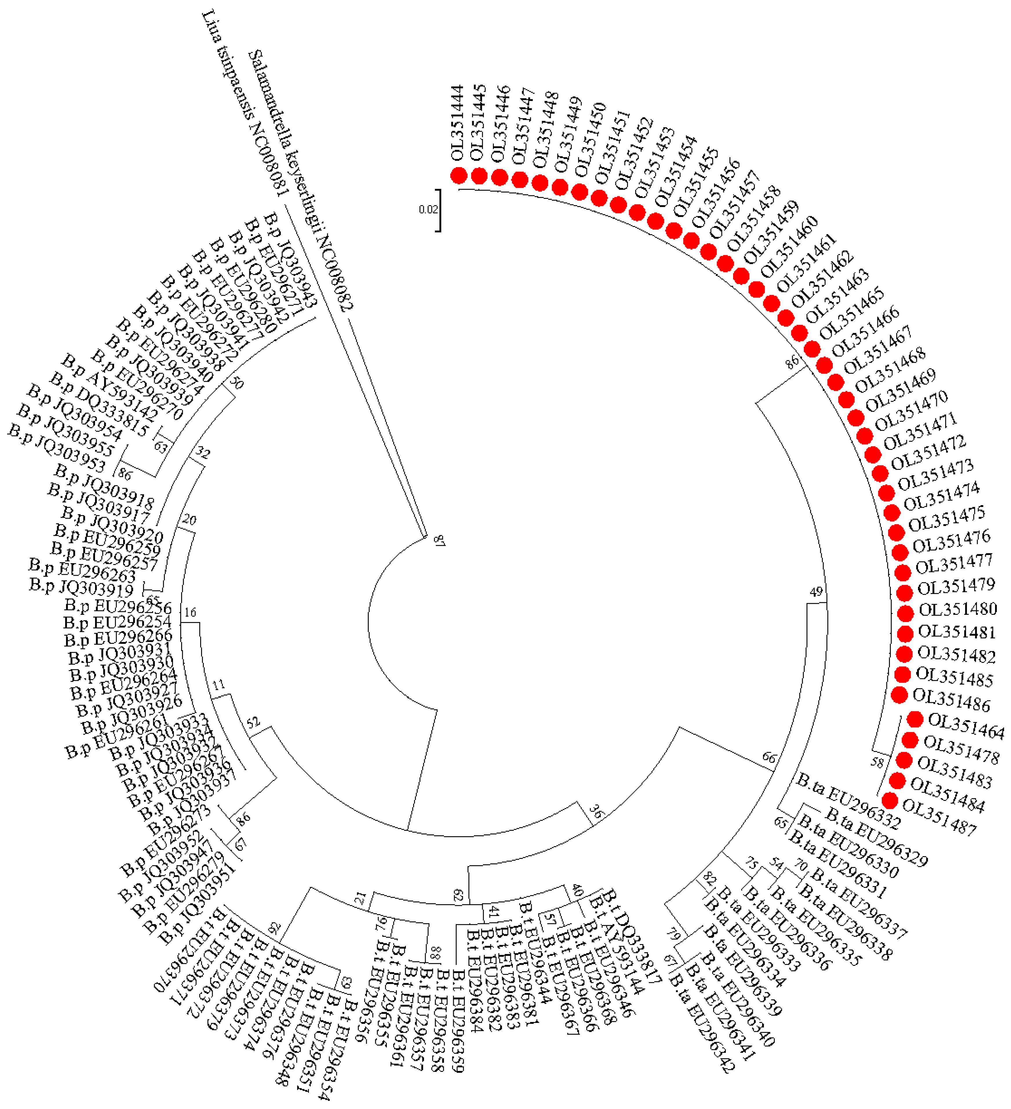 Animals 12 01105 g004
