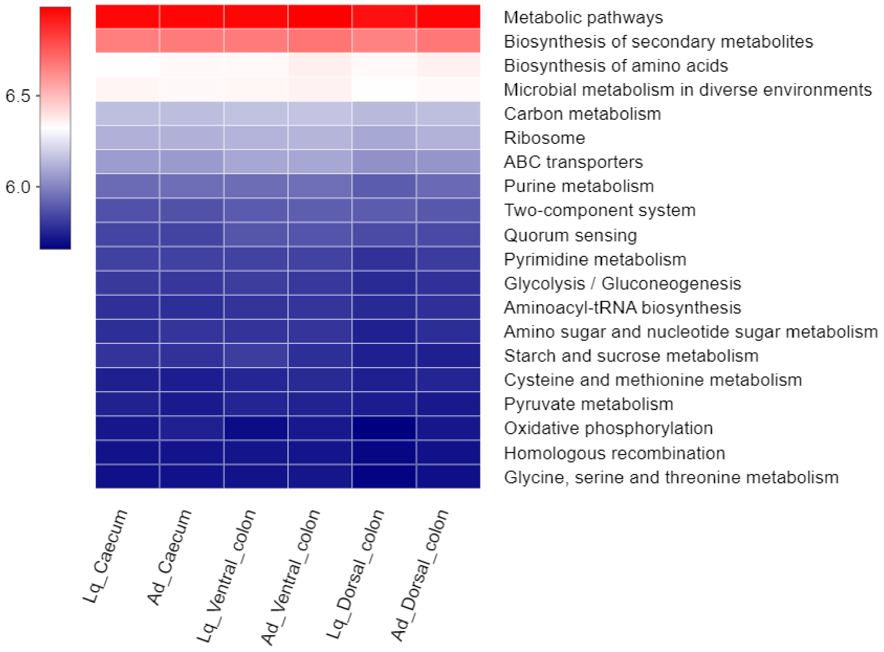 Animals 12 01116 g005