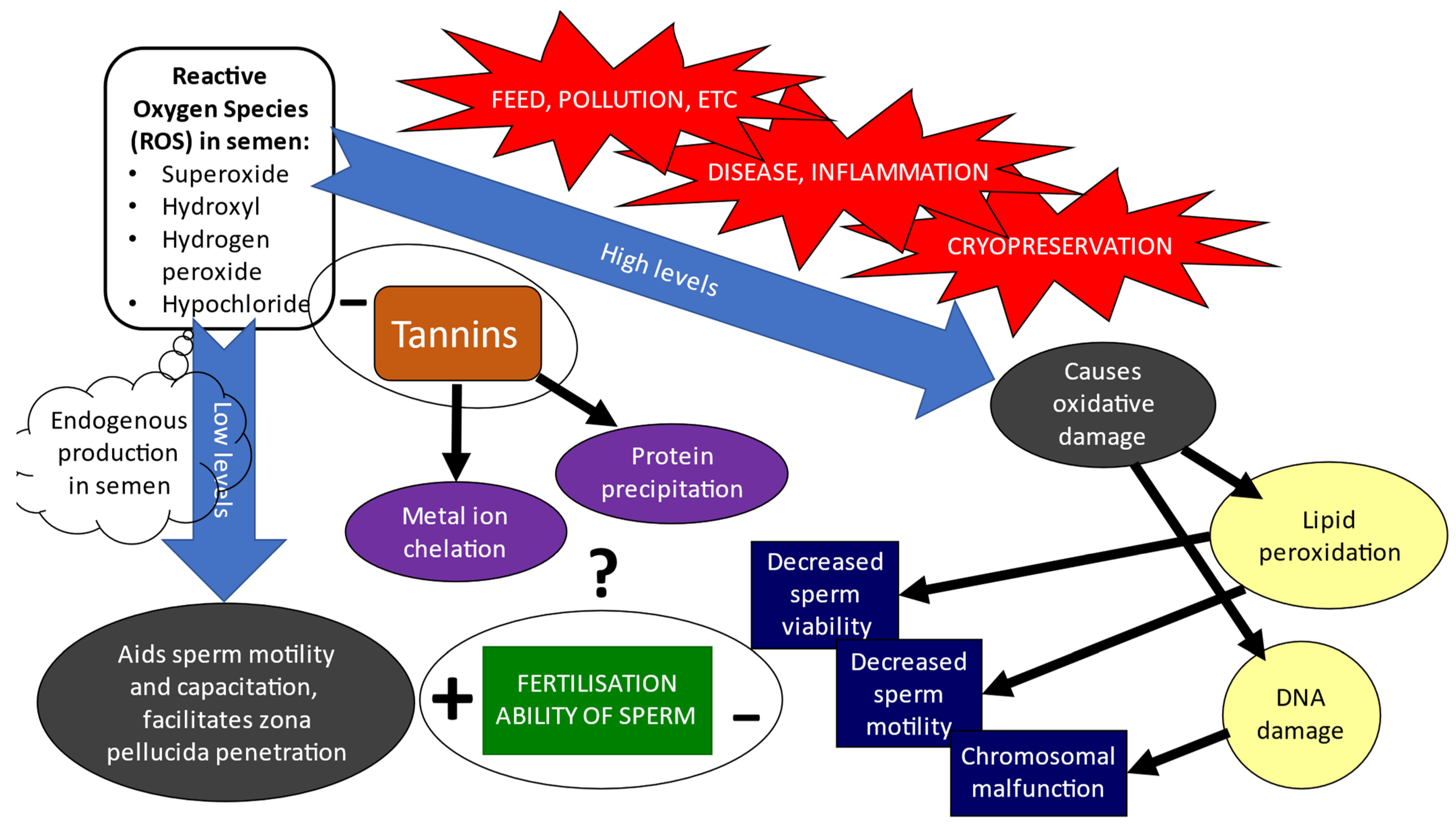 Animals 12 01130 g002