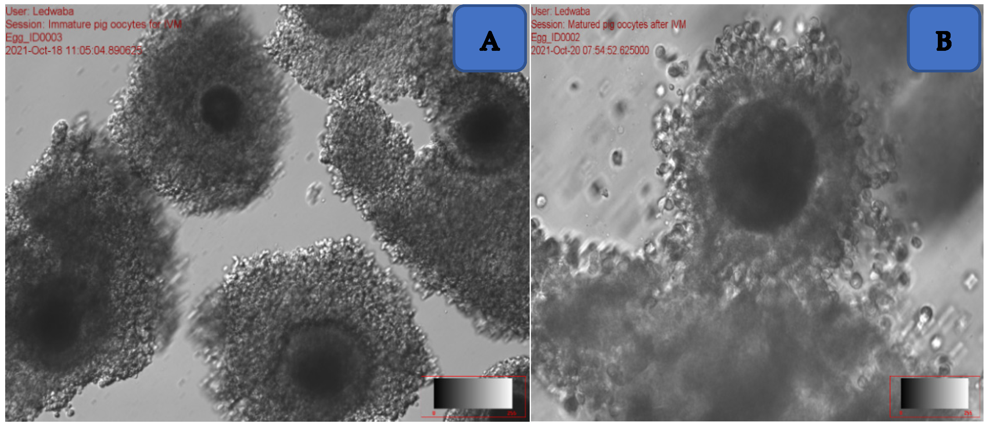 Animals 12 01137 g001