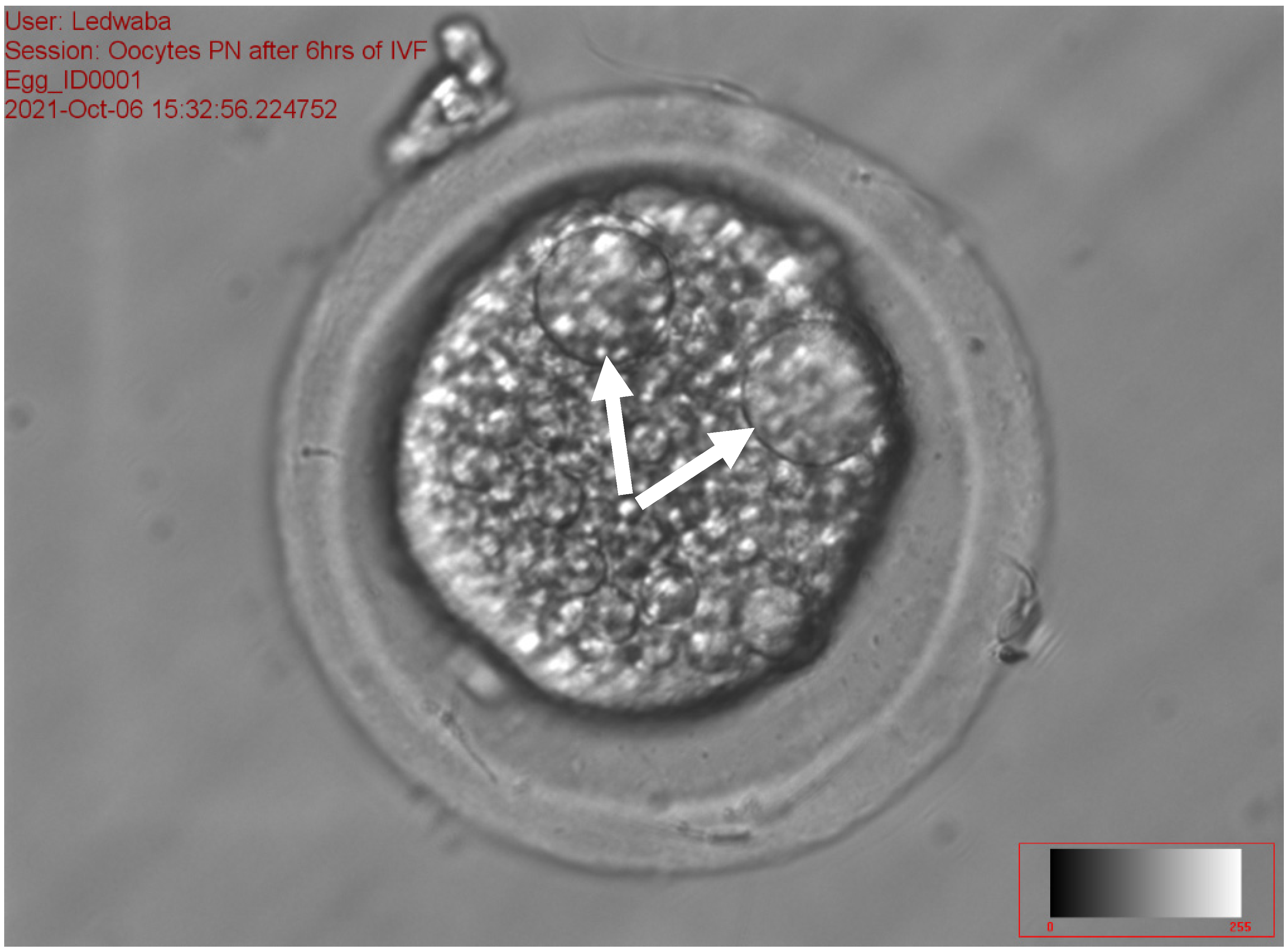 Animals 12 01137 g004