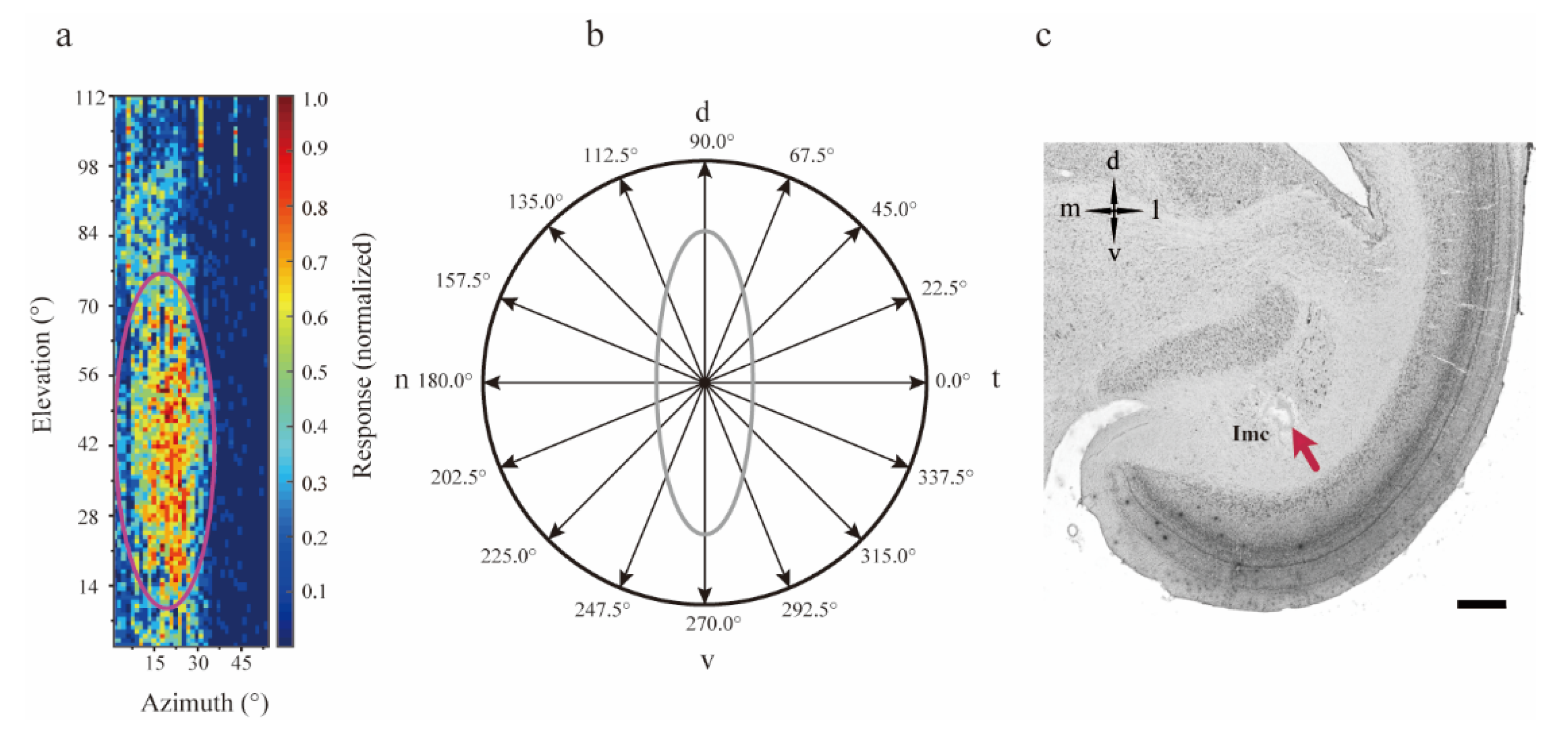 Animals 12 01143 g001 Animals 12 01143 g001